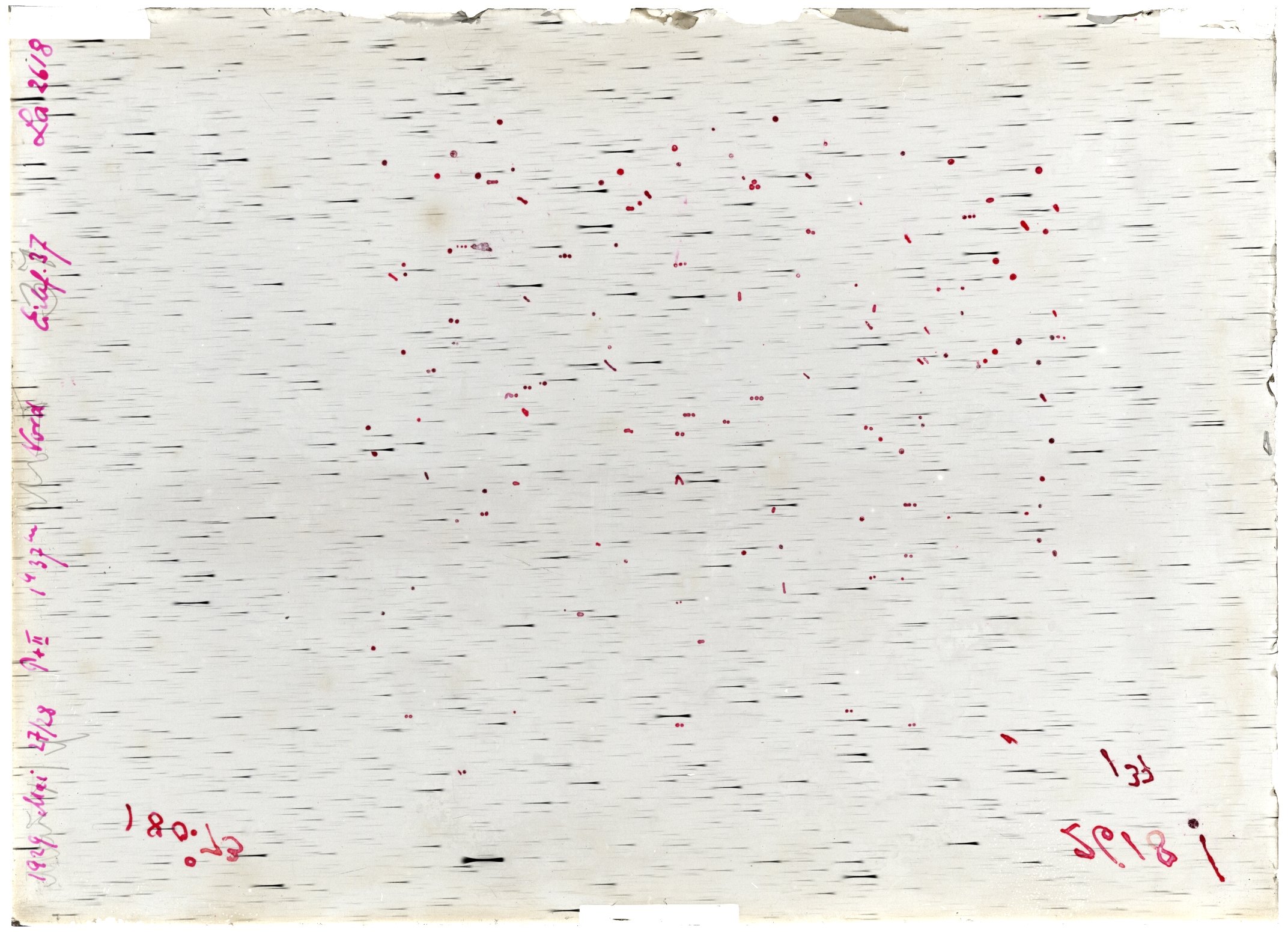Scan LA02618