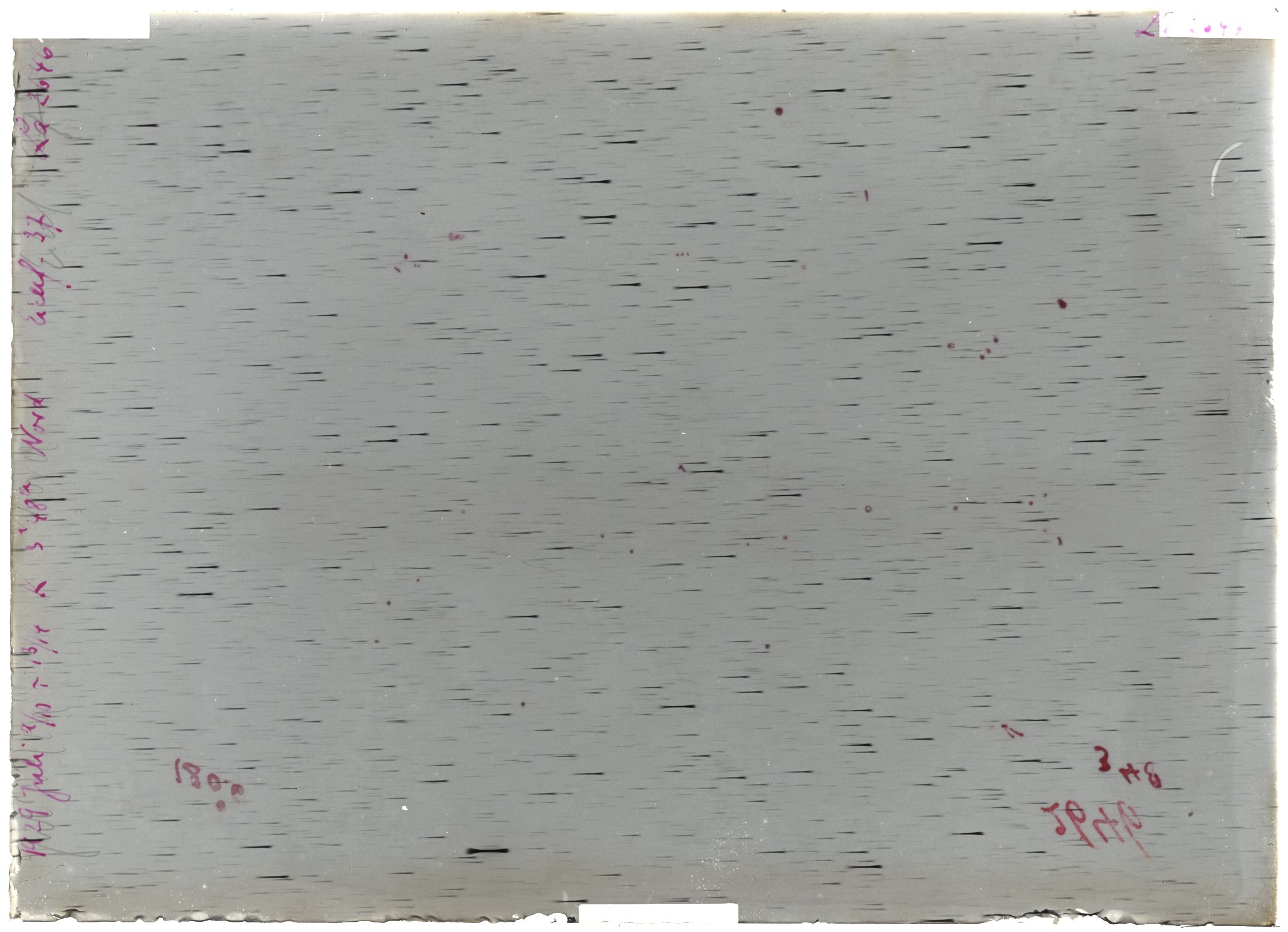 Scan LA02646