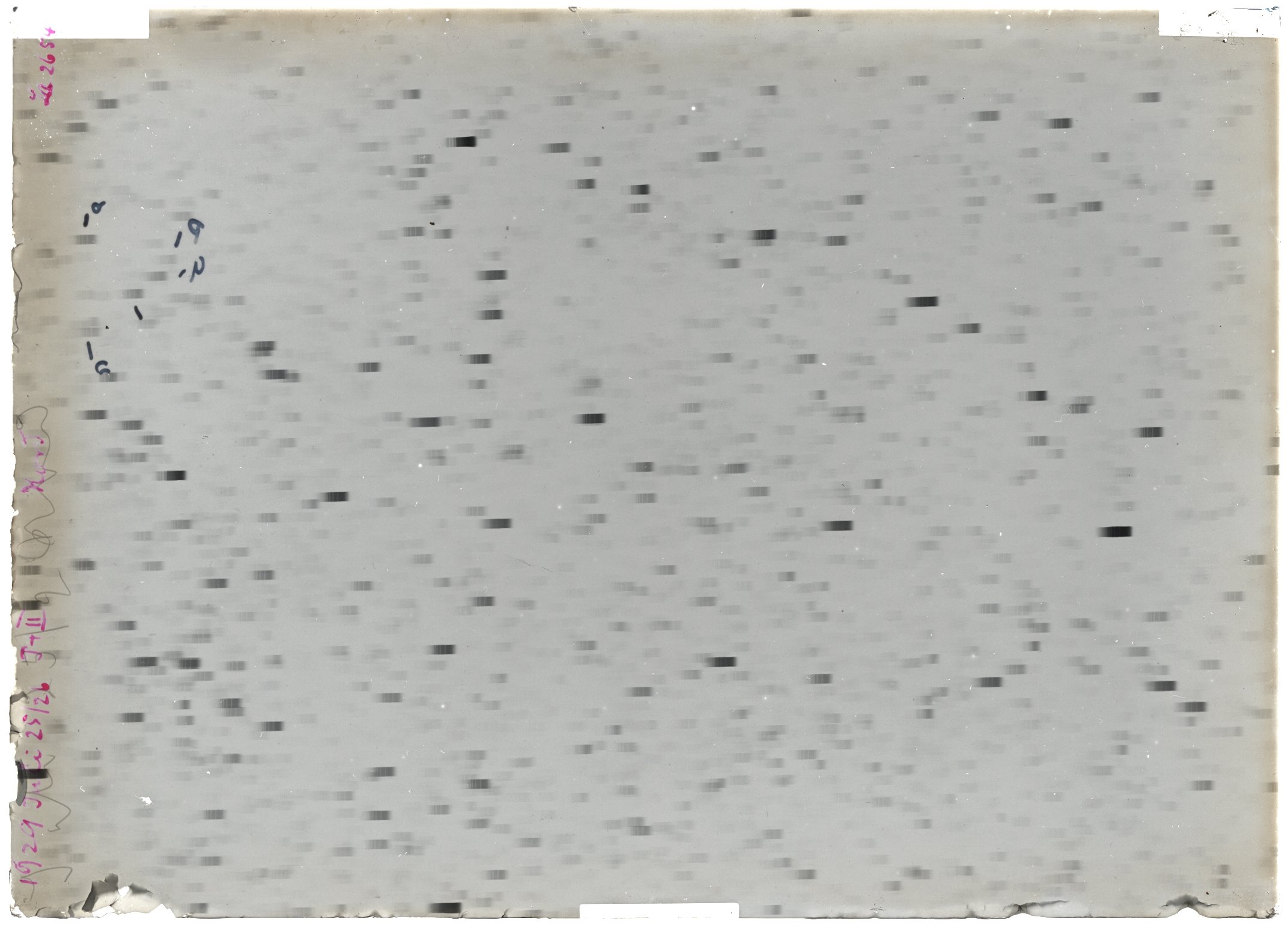 Scan LA02654