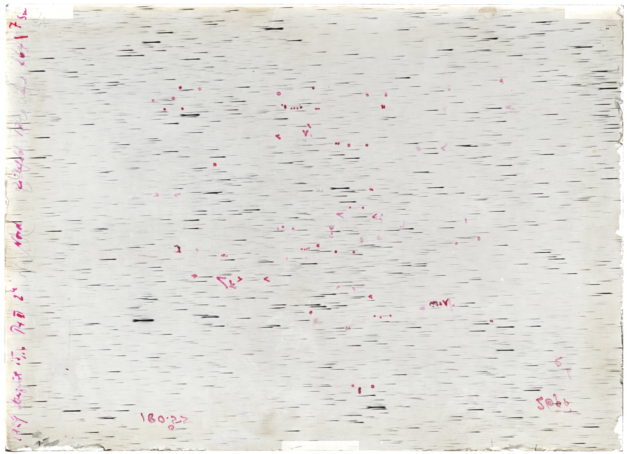 Scan LA02677