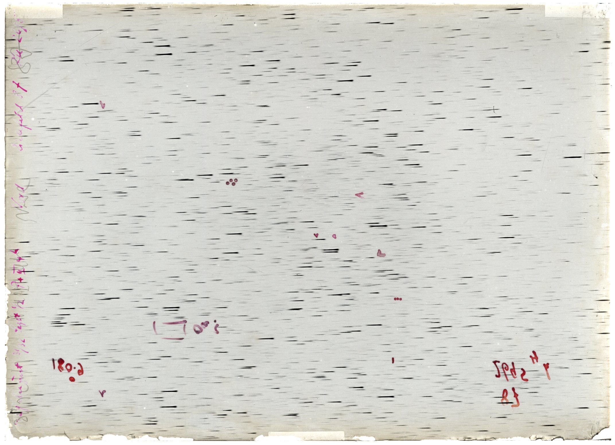 Scan LA02695