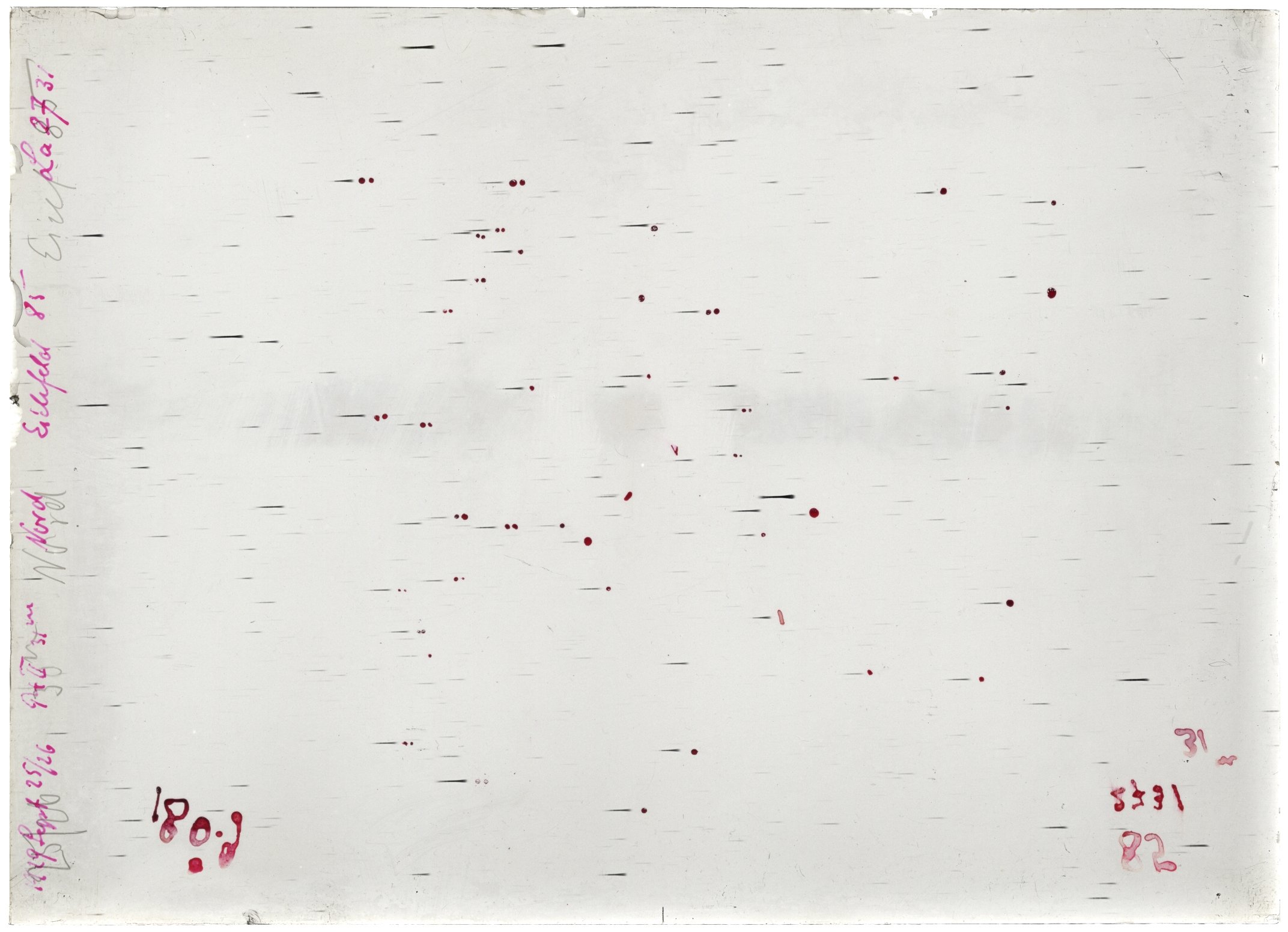 Scan LA02731