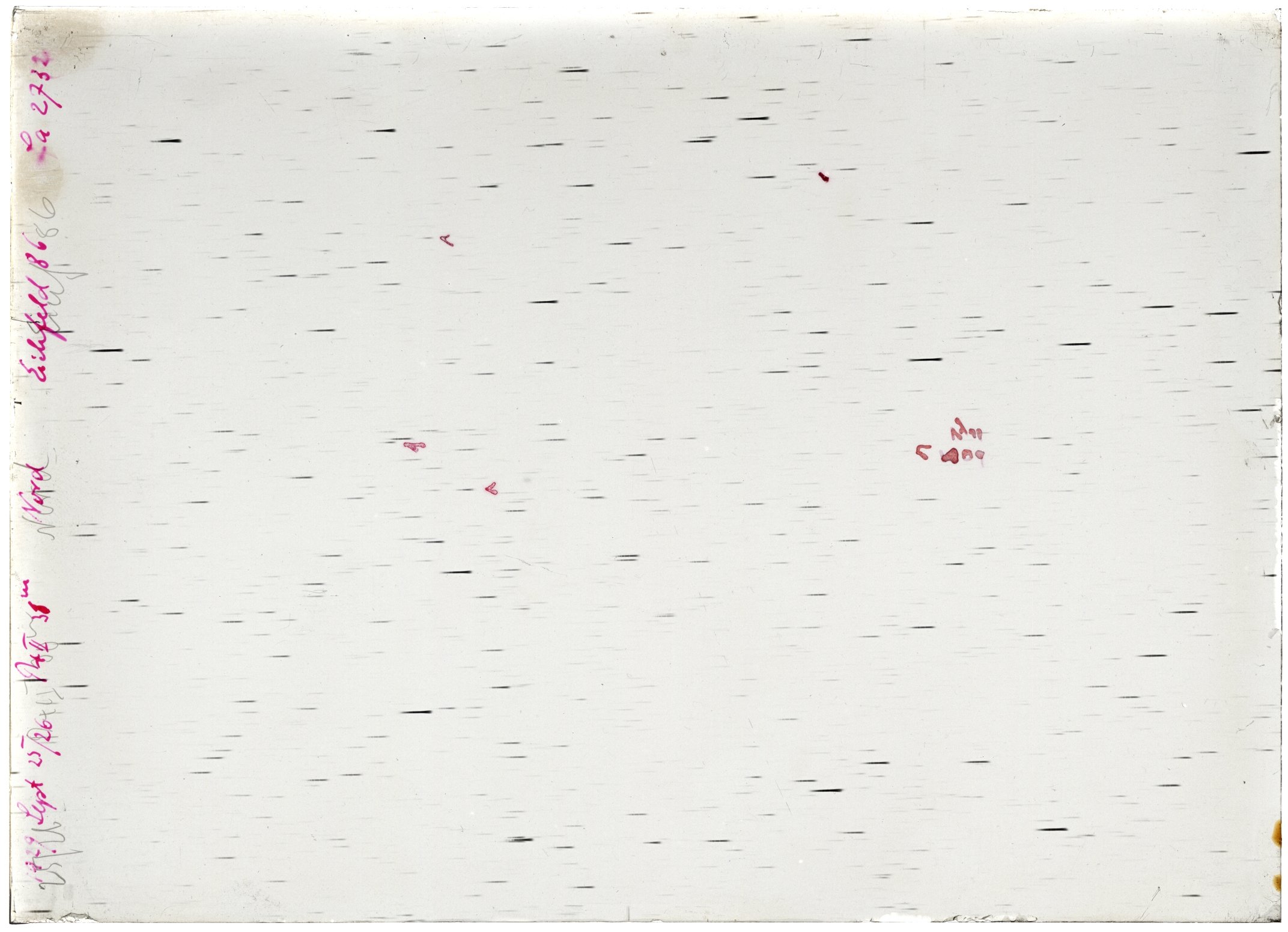 Scan LA02732