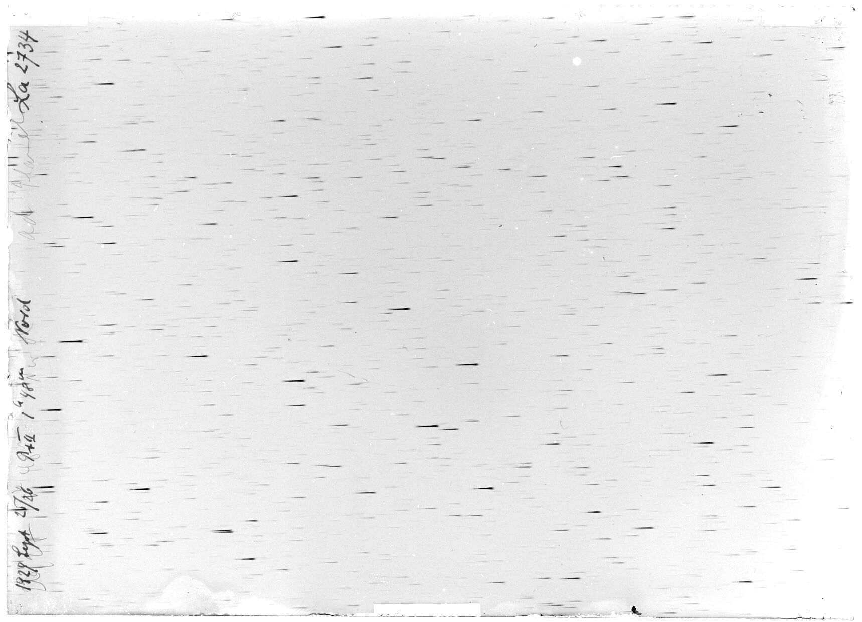 Scan LA02734