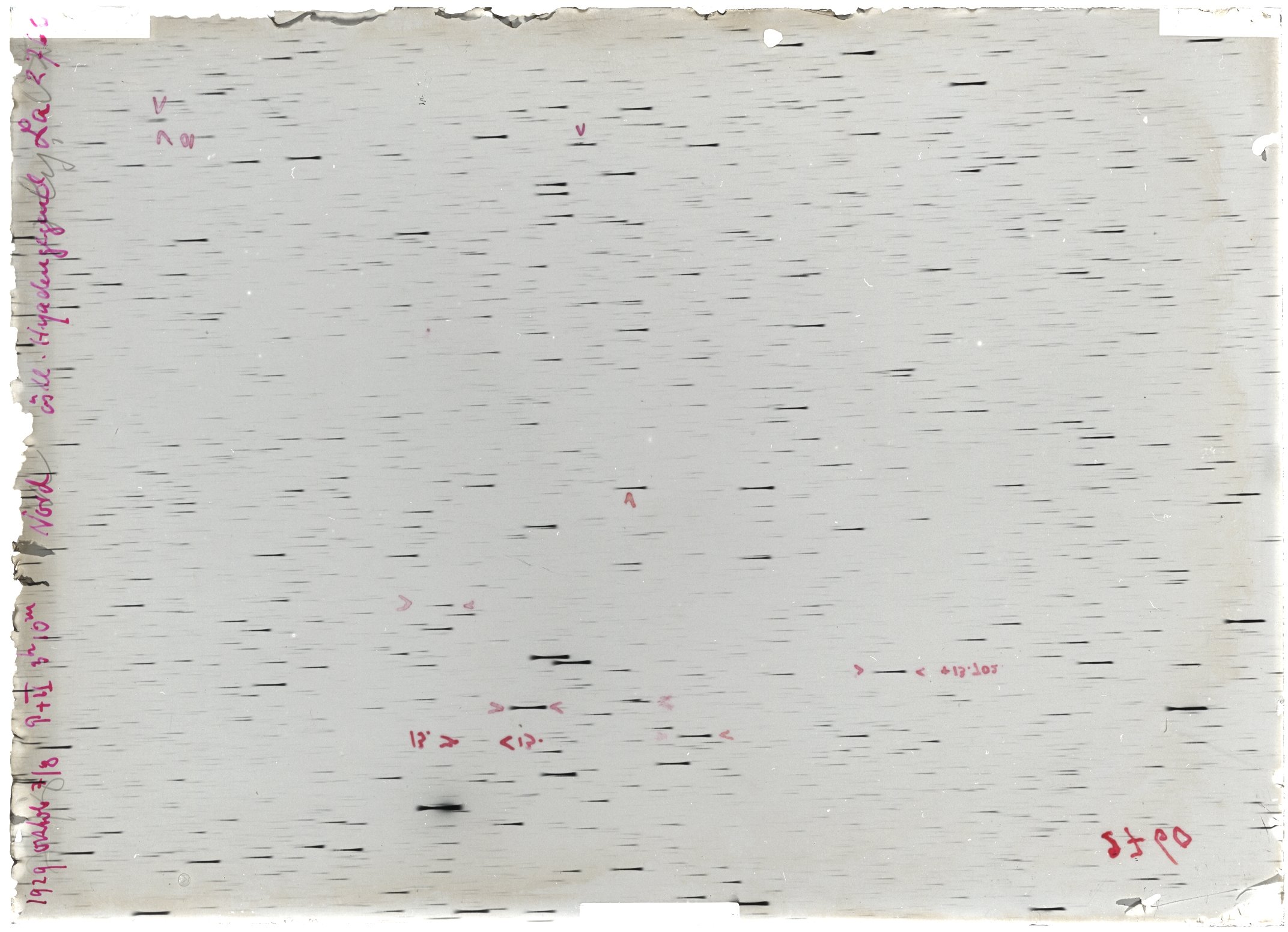 Scan LA02760