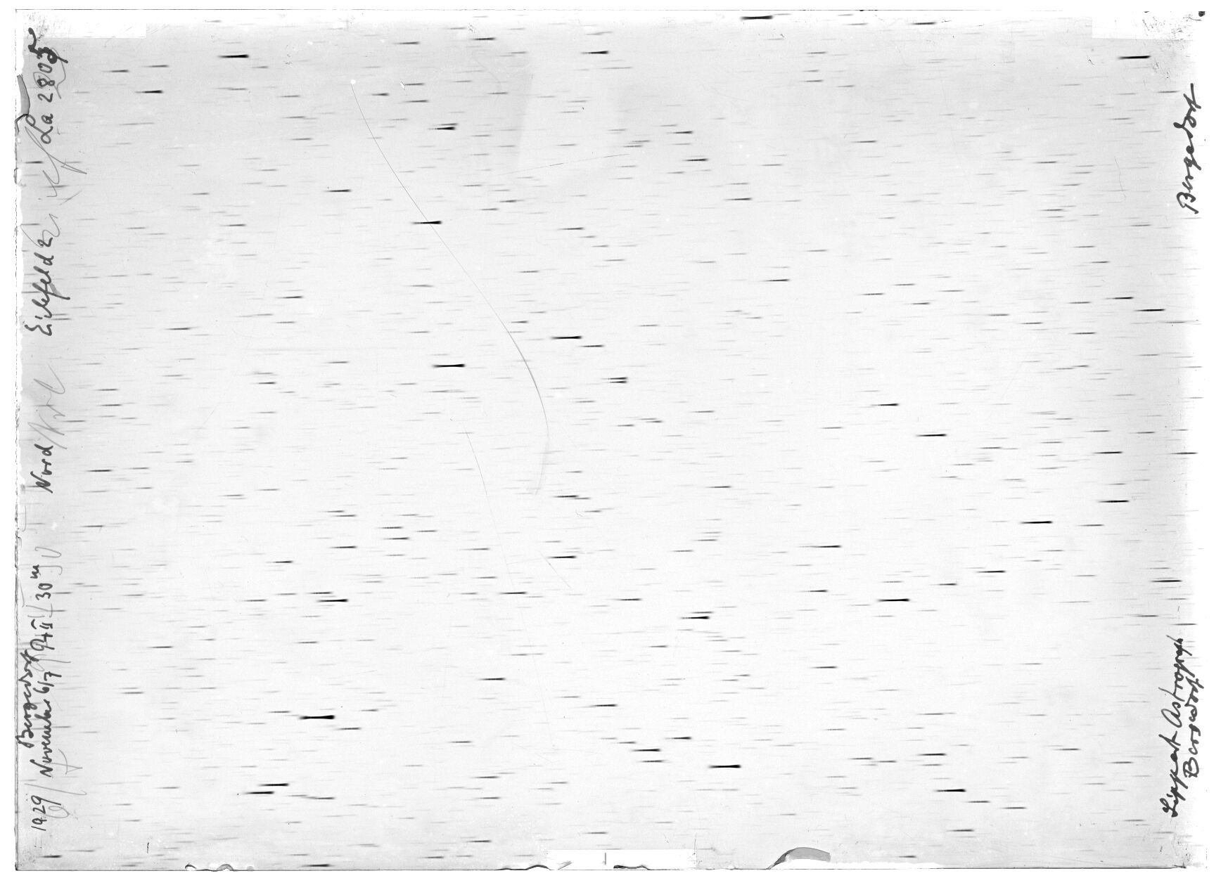 Scan LA02805