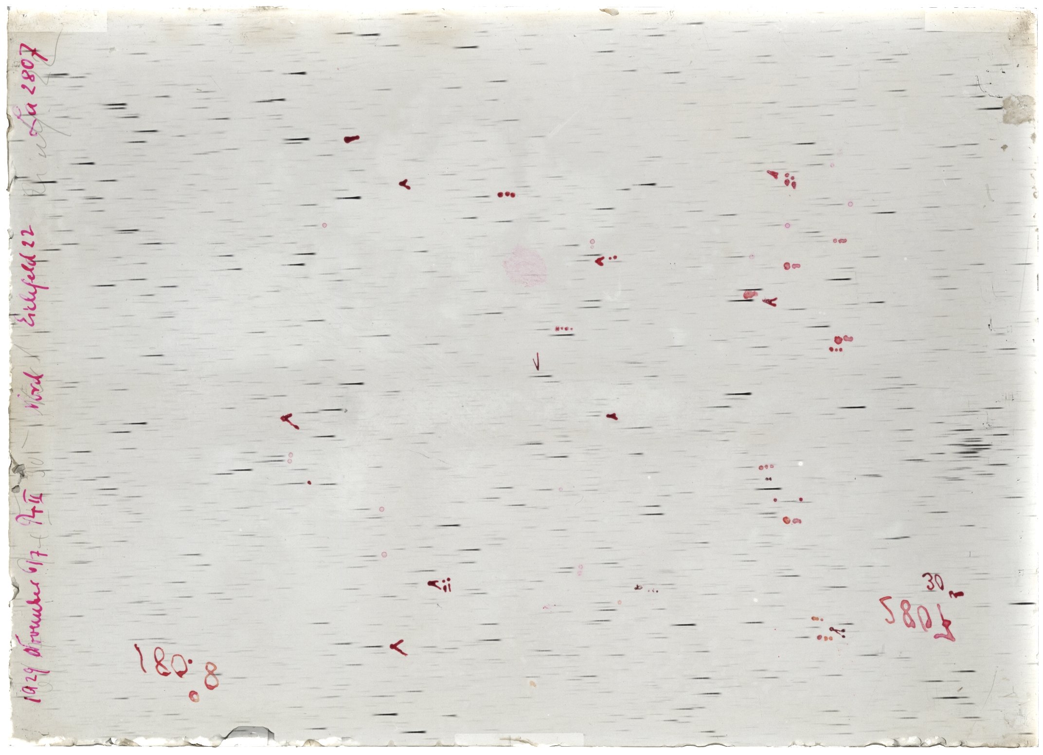Scan LA02807