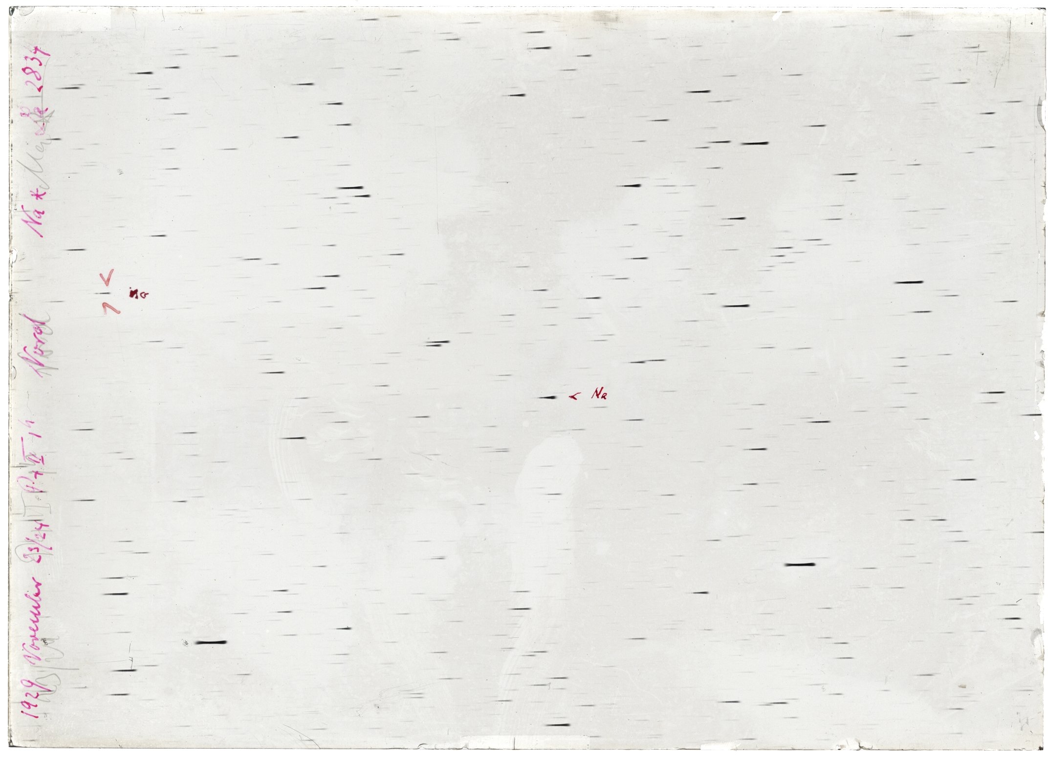Scan LA02834