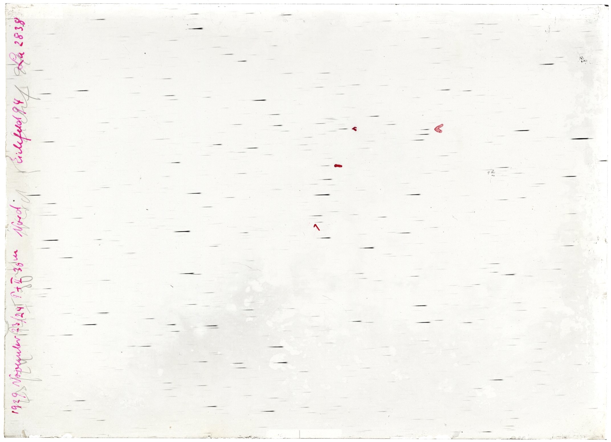 Scan LA02838