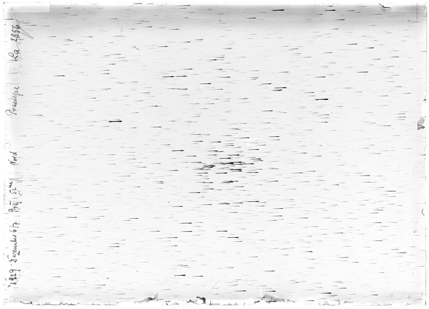 Scan LA02856