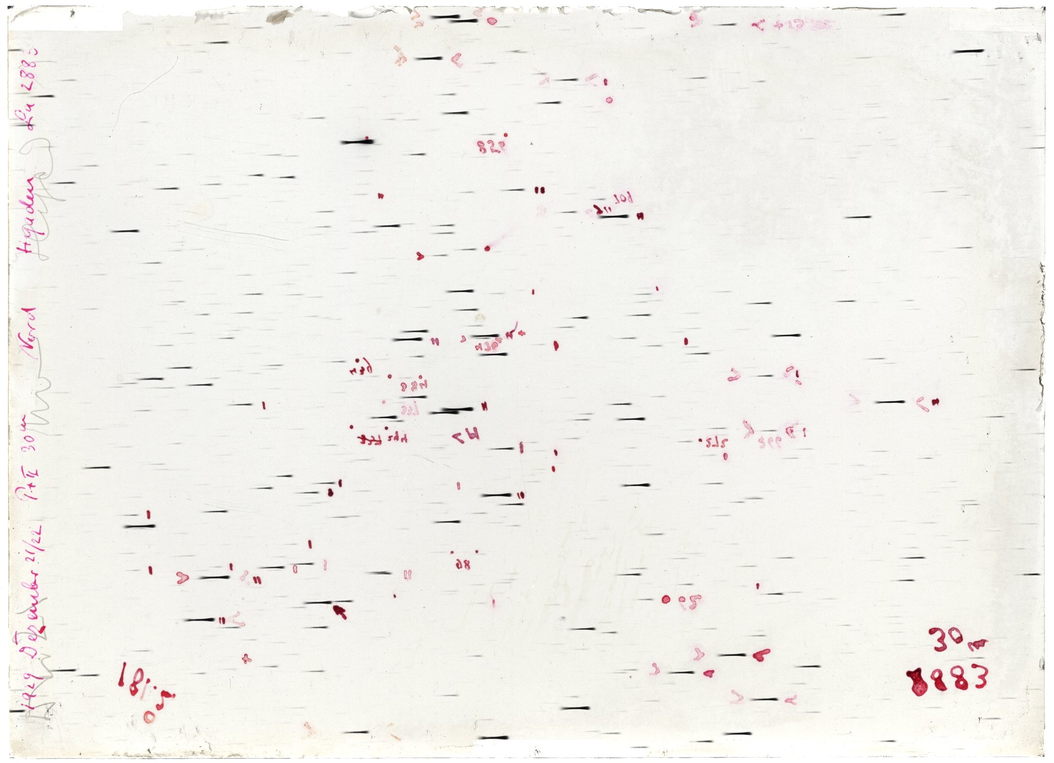 Scan LA02883