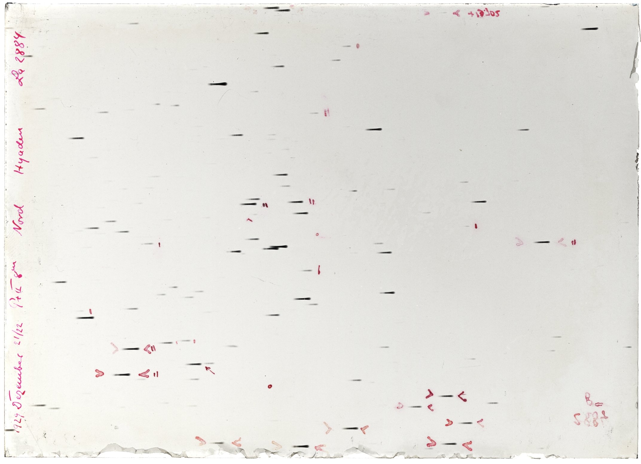 Scan LA02884