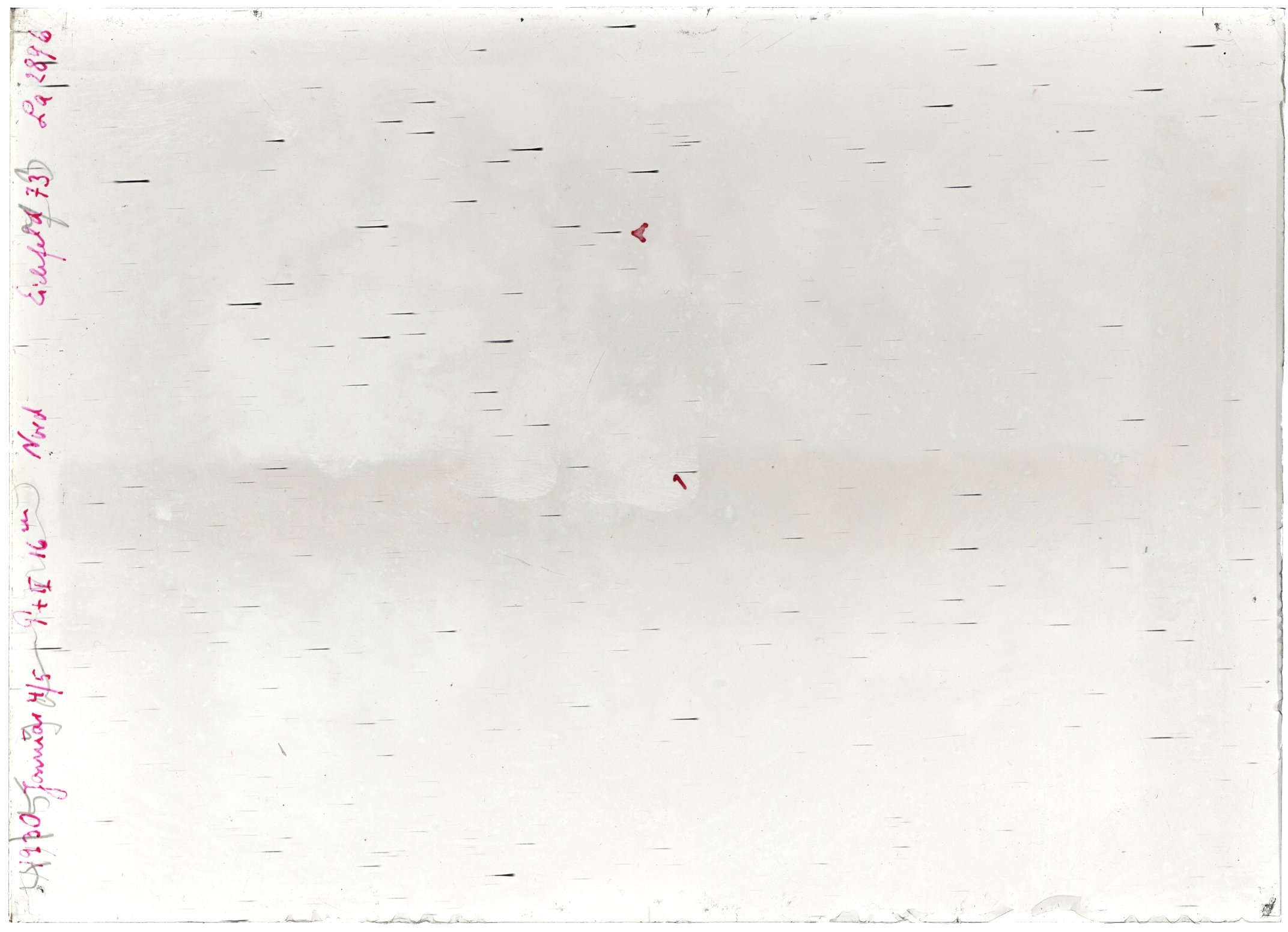 Scan LA02896