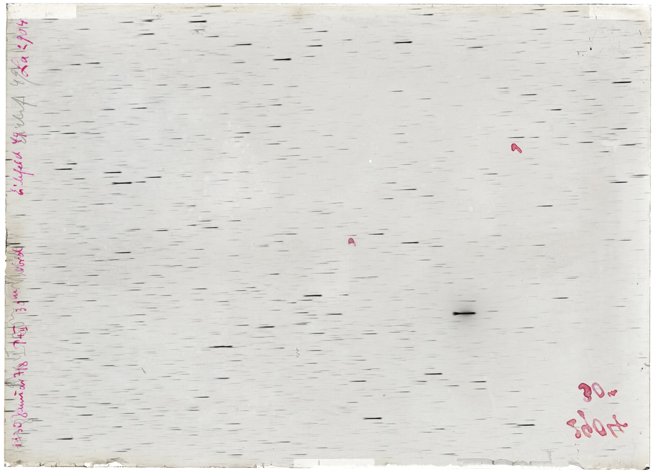 Scan LA02904