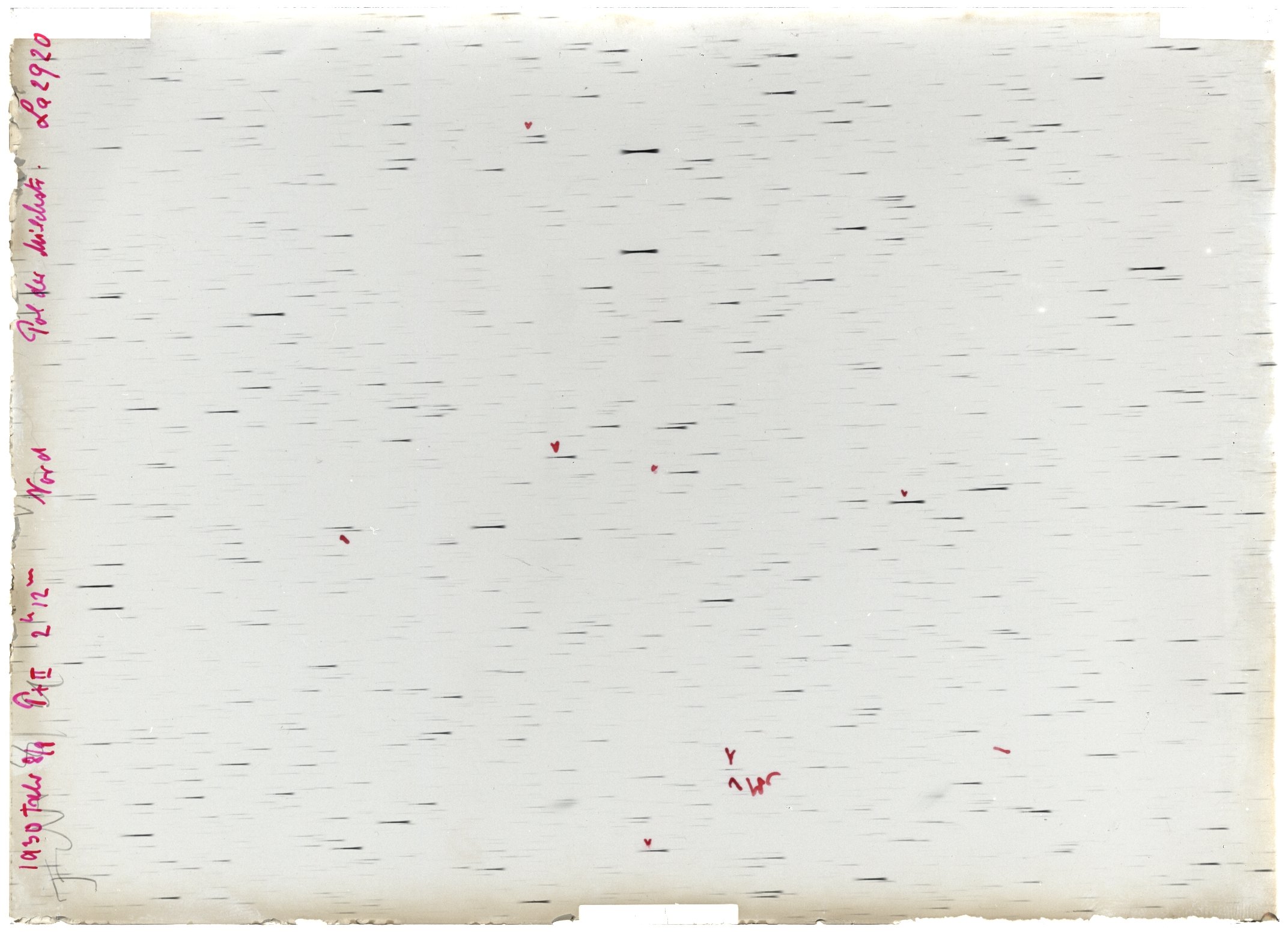 Scan LA02920