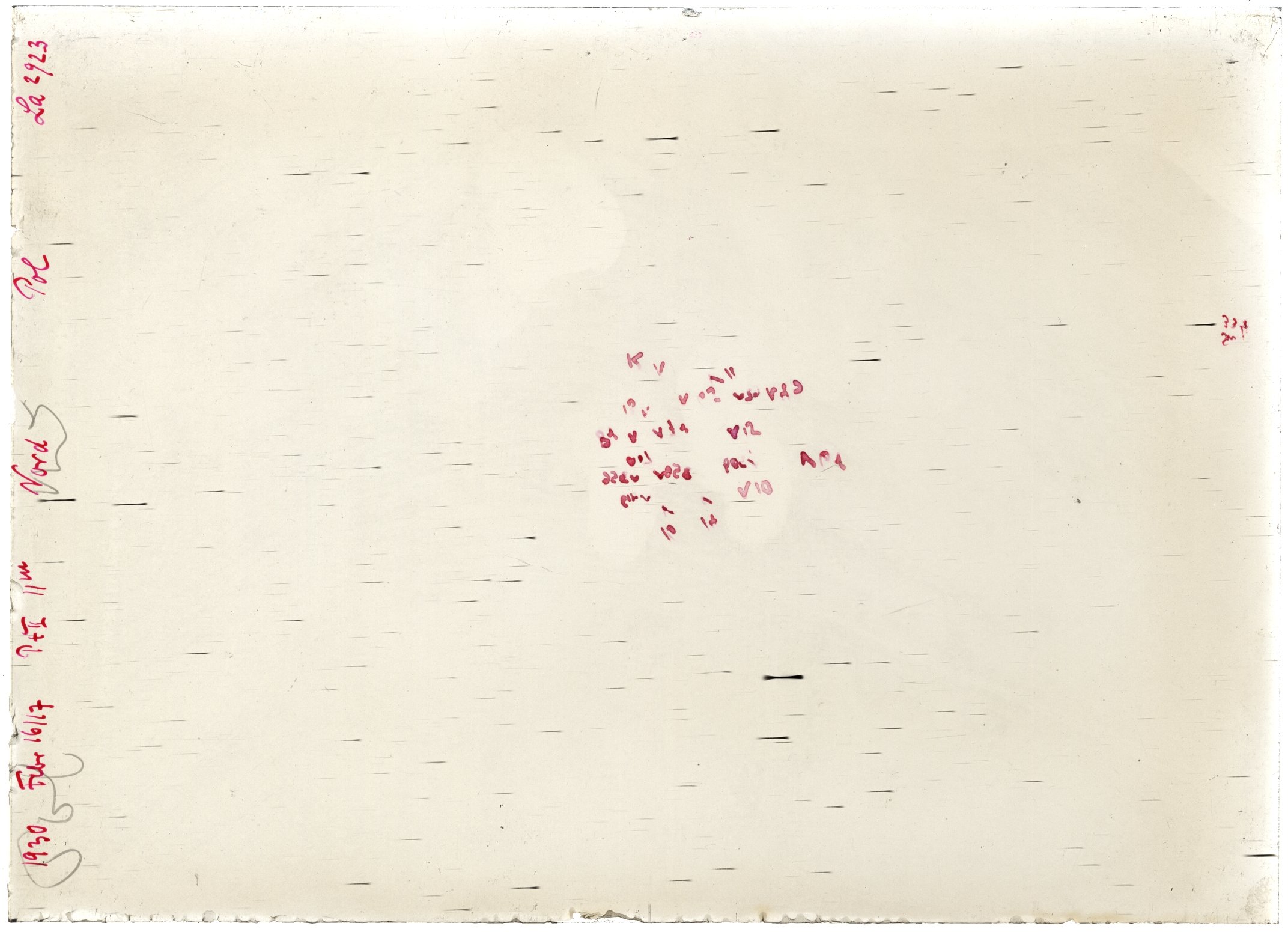 Scan LA02923