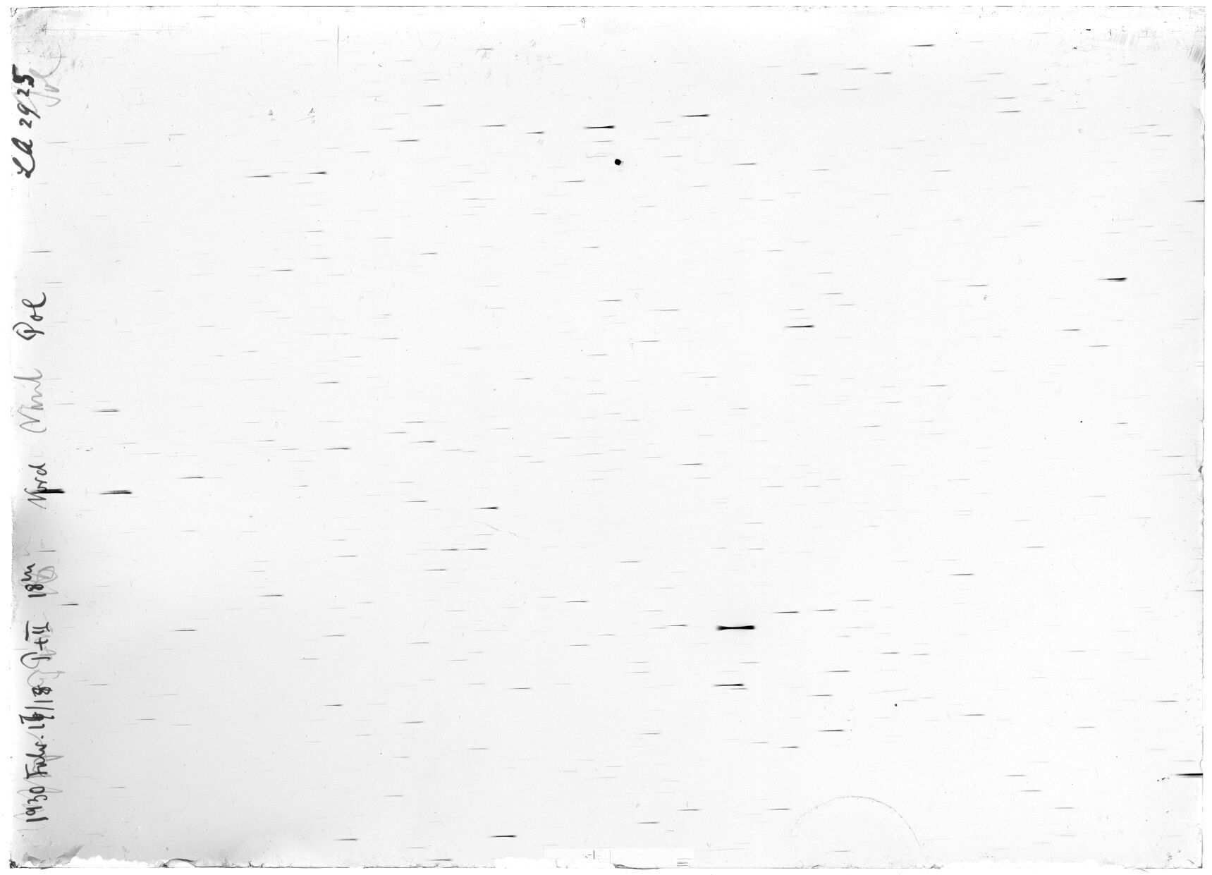 Scan LA02925
