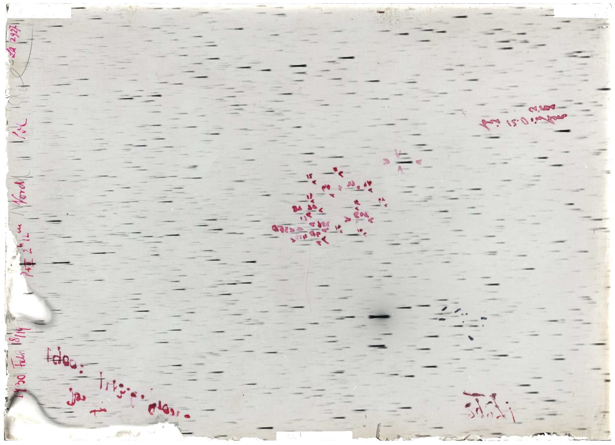 Scan LA02927