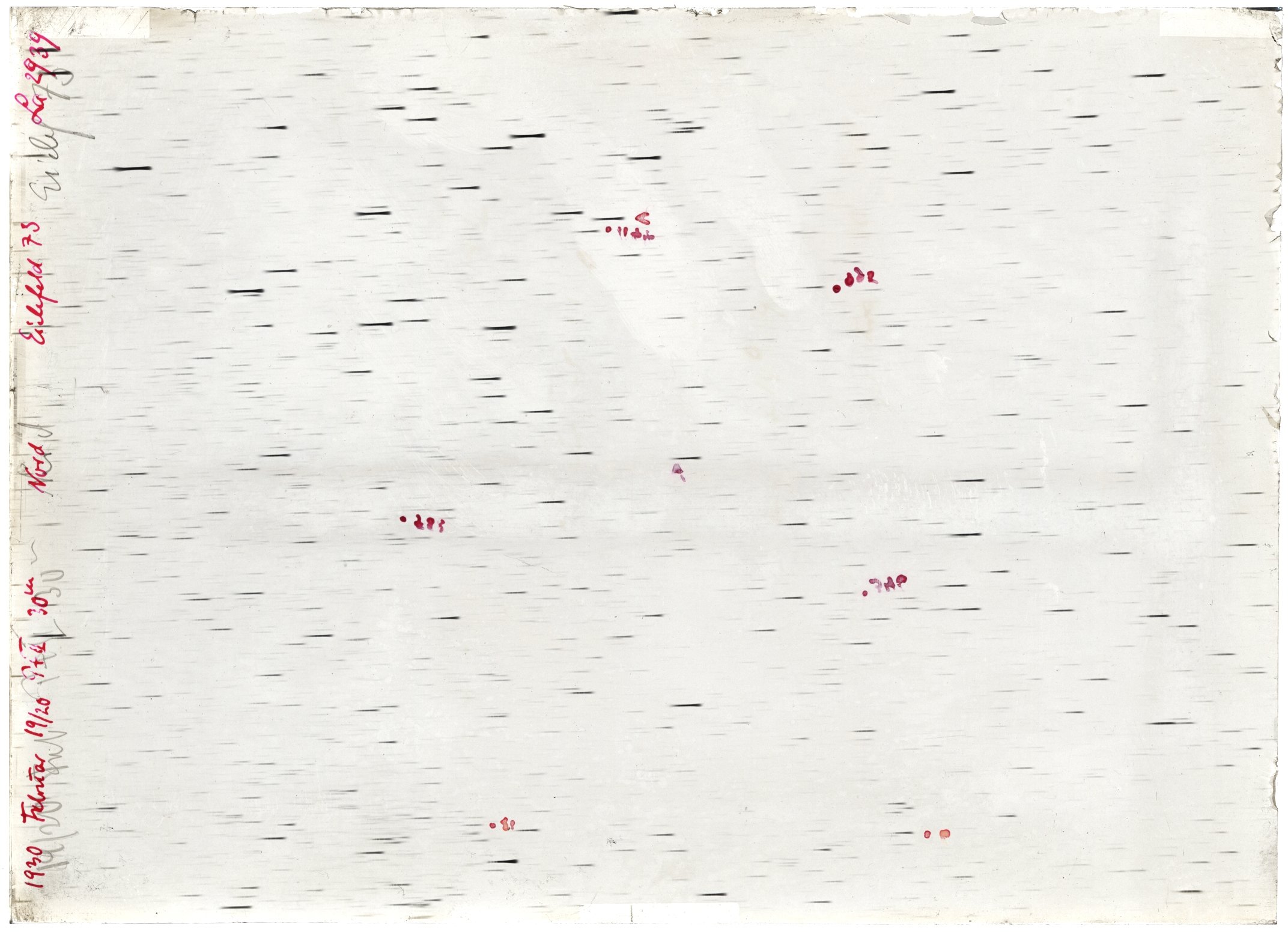 Scan LA02939