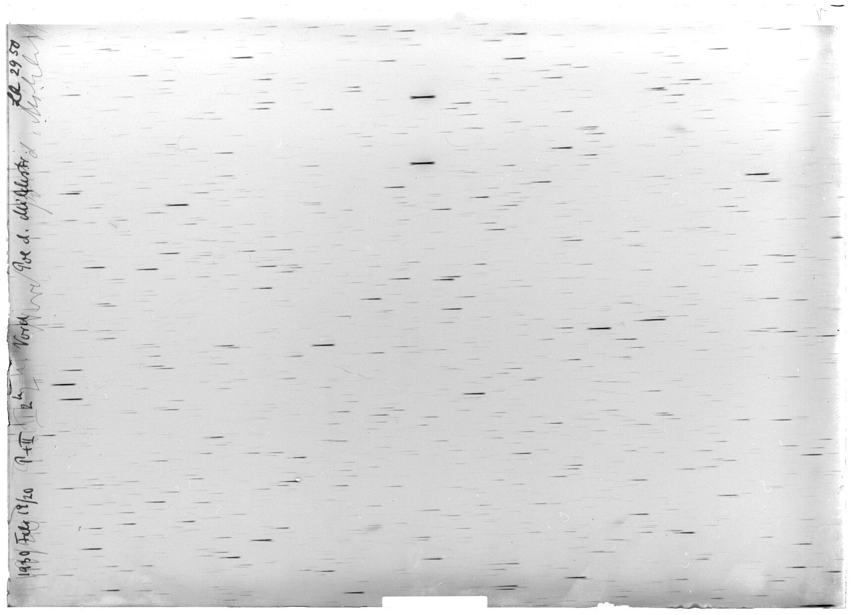 Scan LA02950