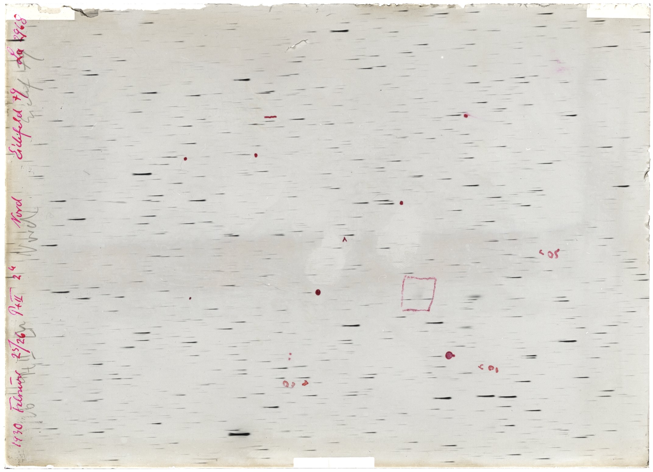 Scan LA02968