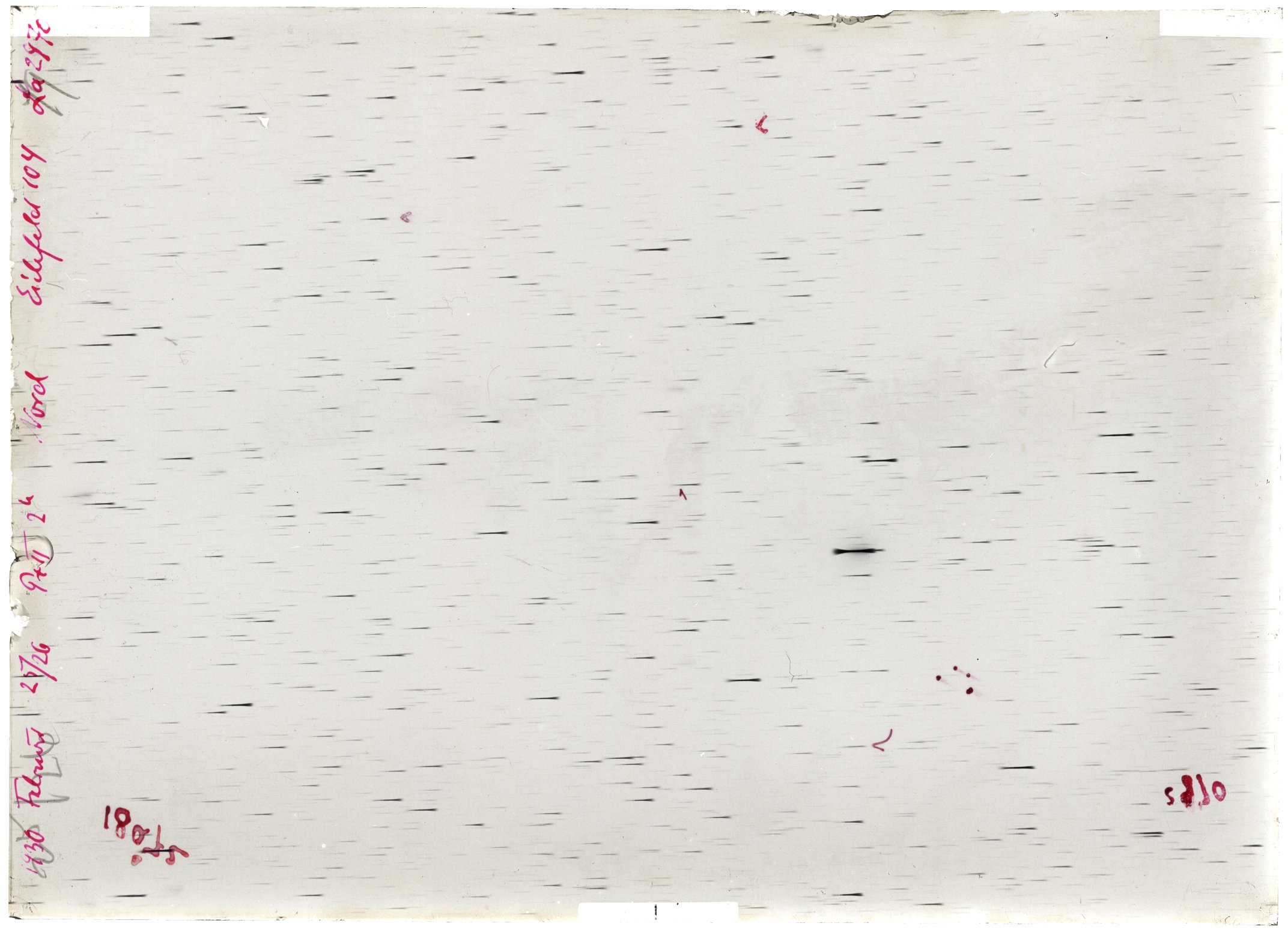 Scan LA02970