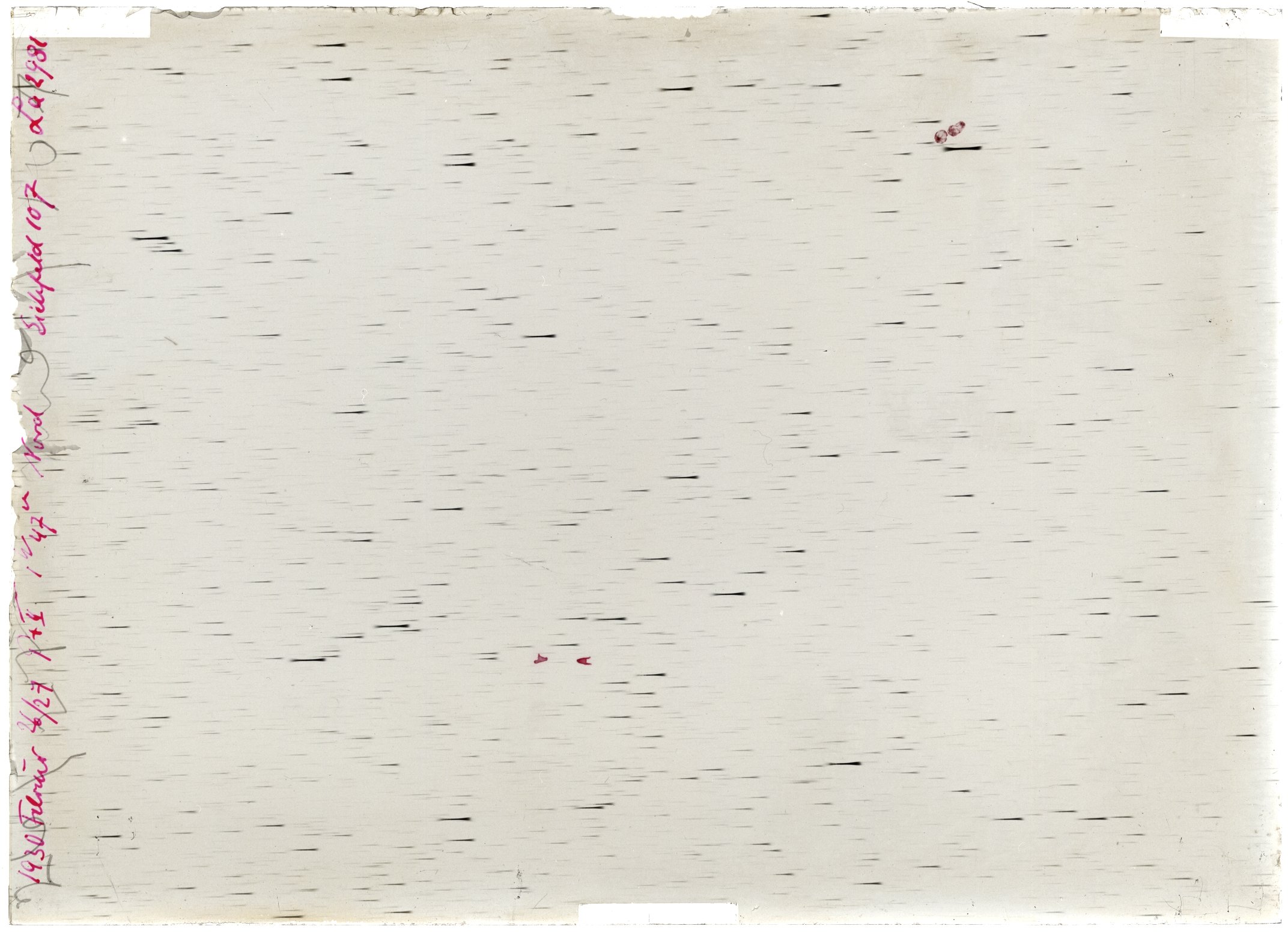 Scan LA02981
