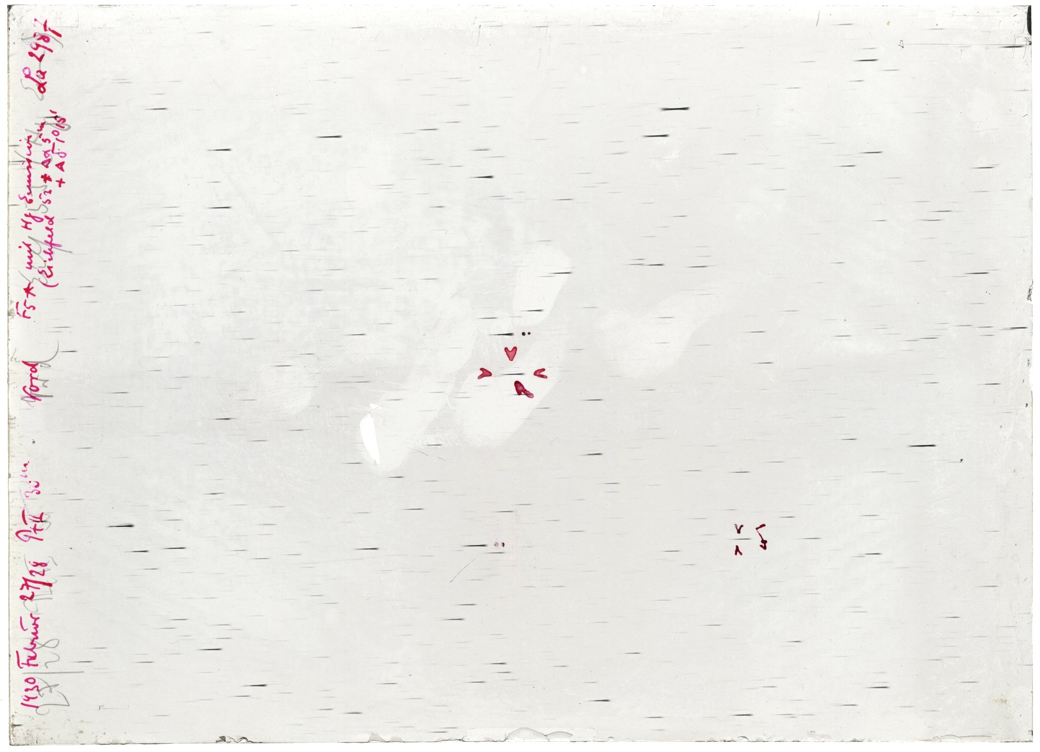 Scan LA02987