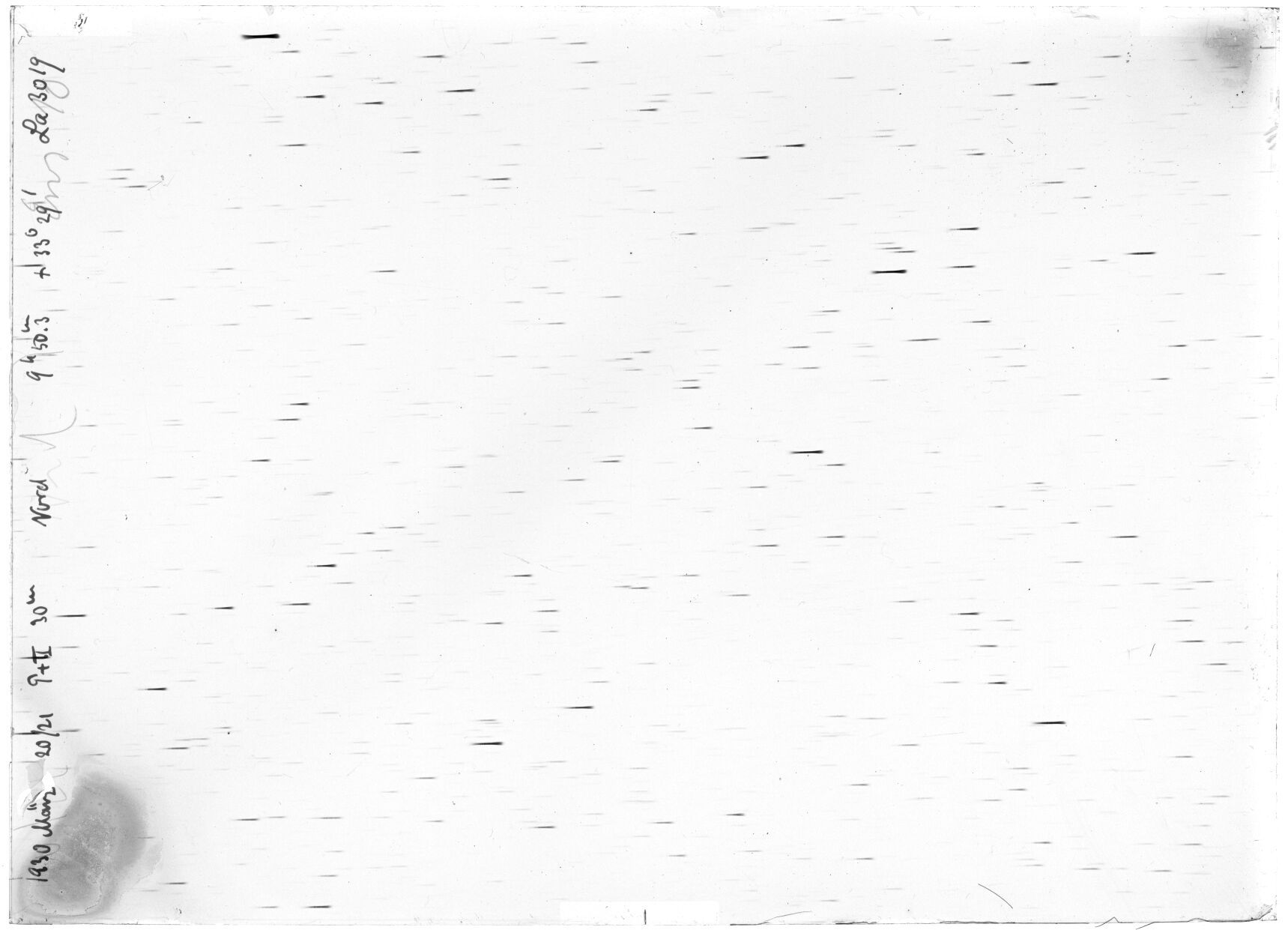 Scan LA03019