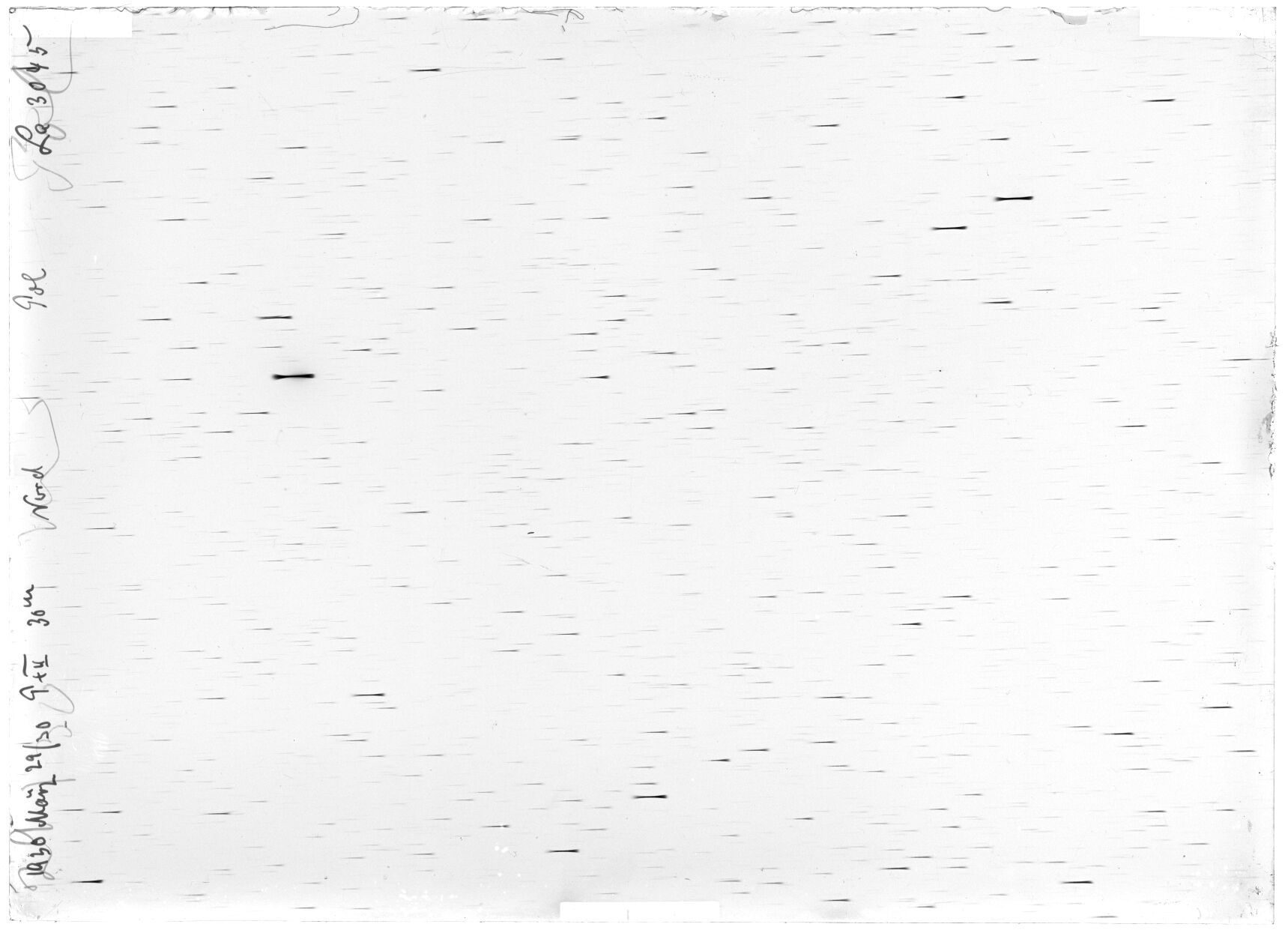 Scan LA03045