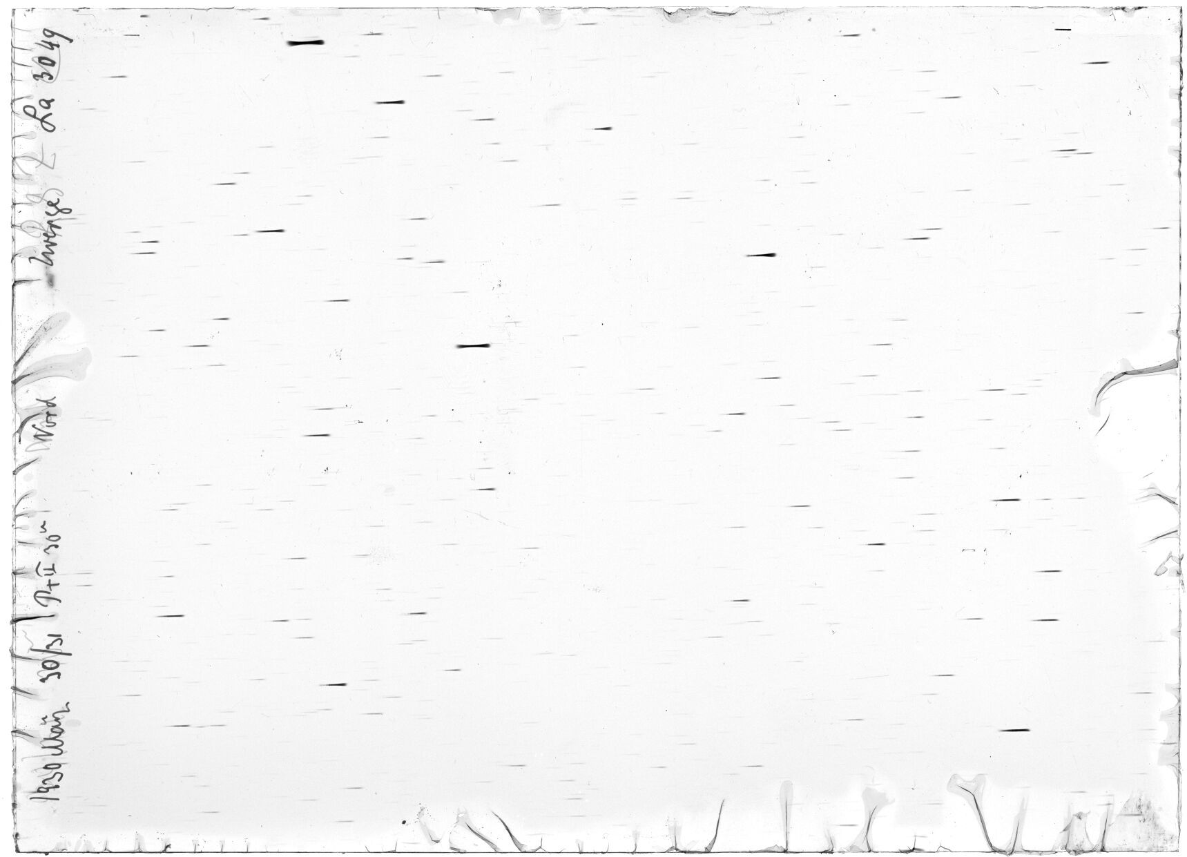 Scan LA03049