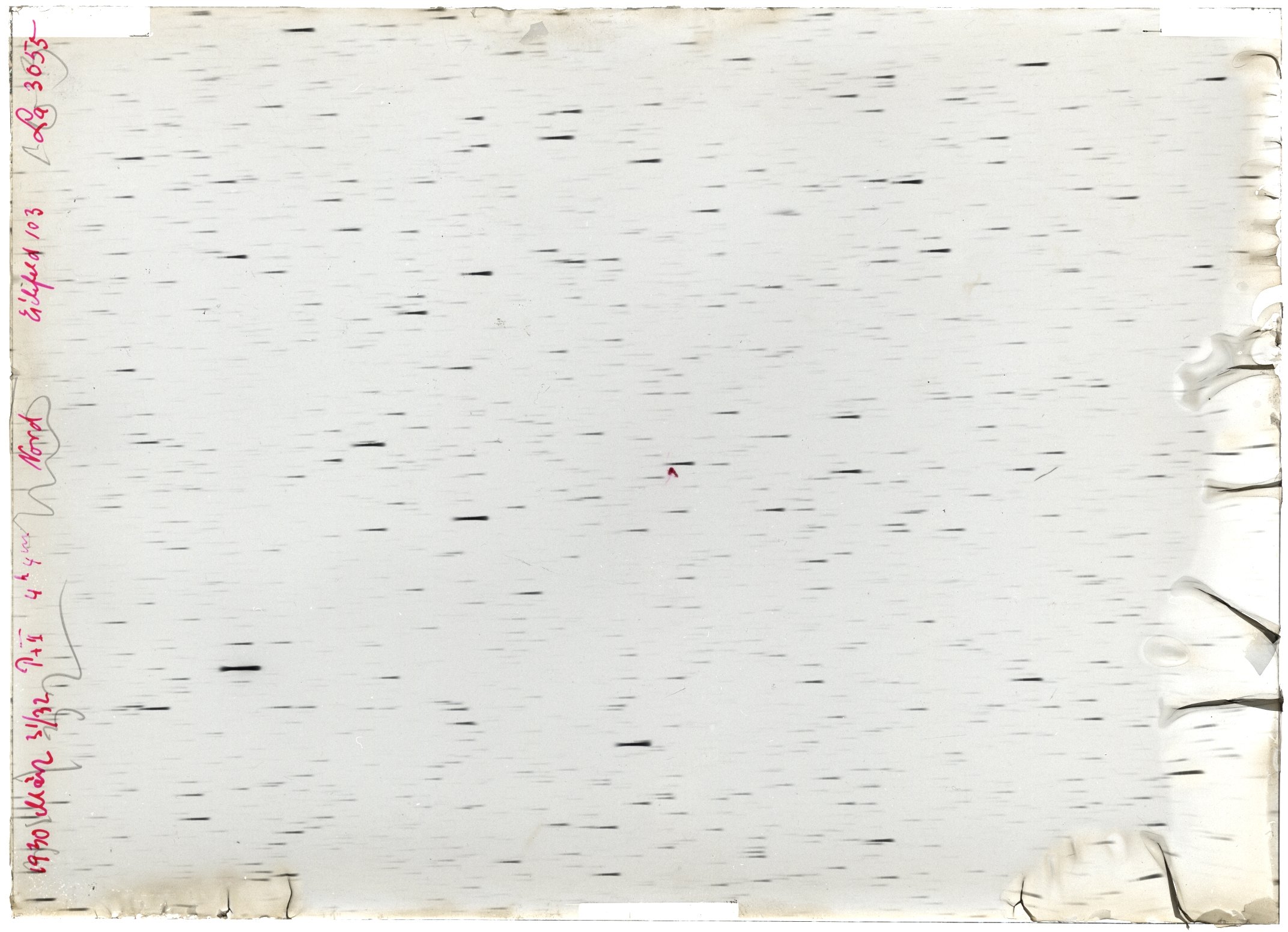 Scan LA03055