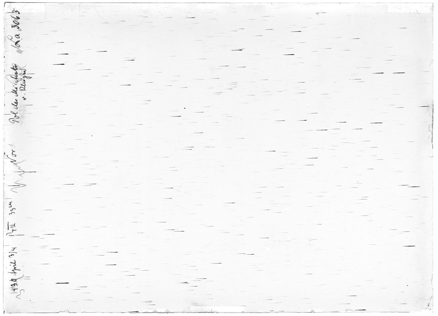Scan LA03063