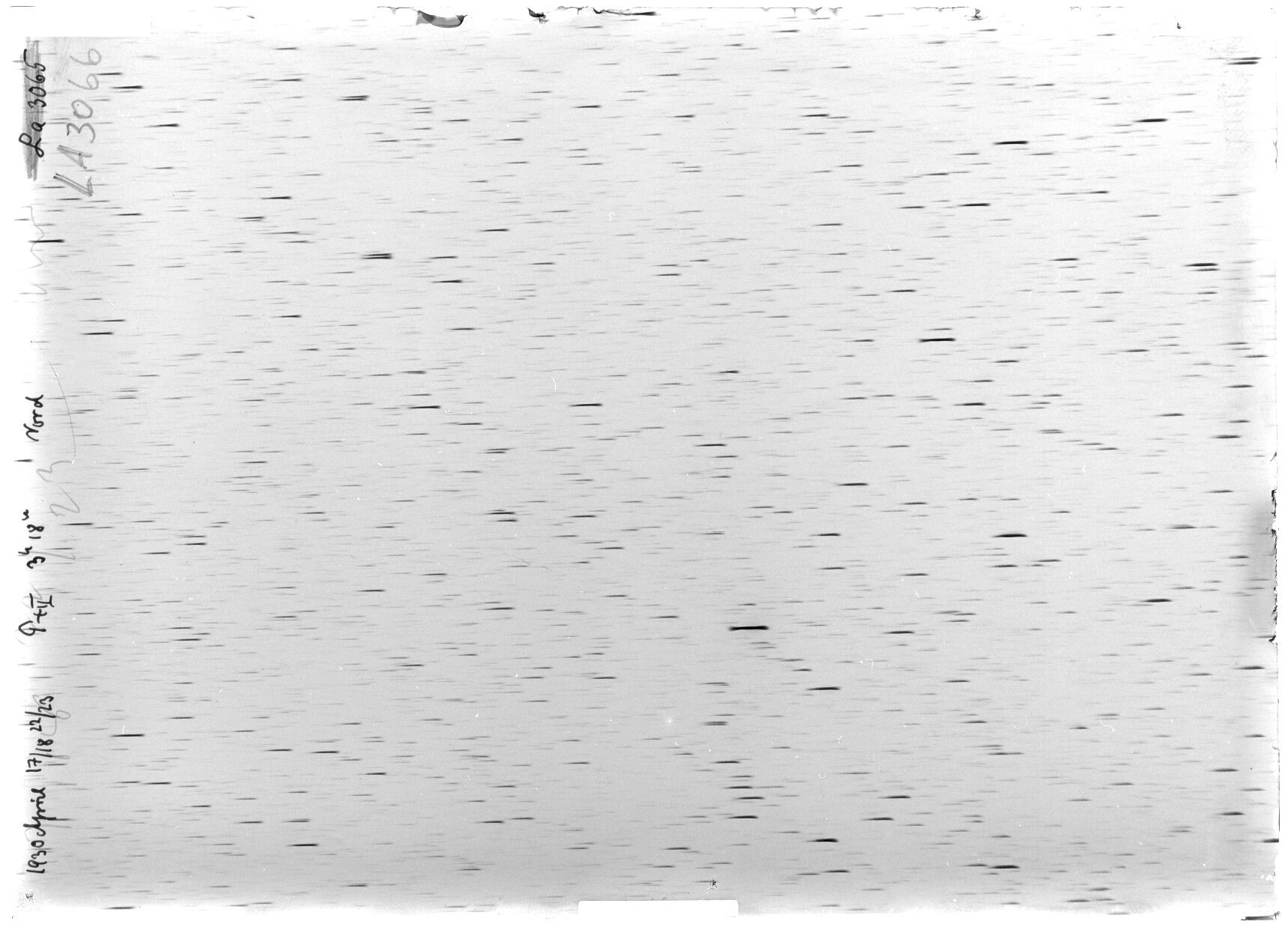 Scan LA03066