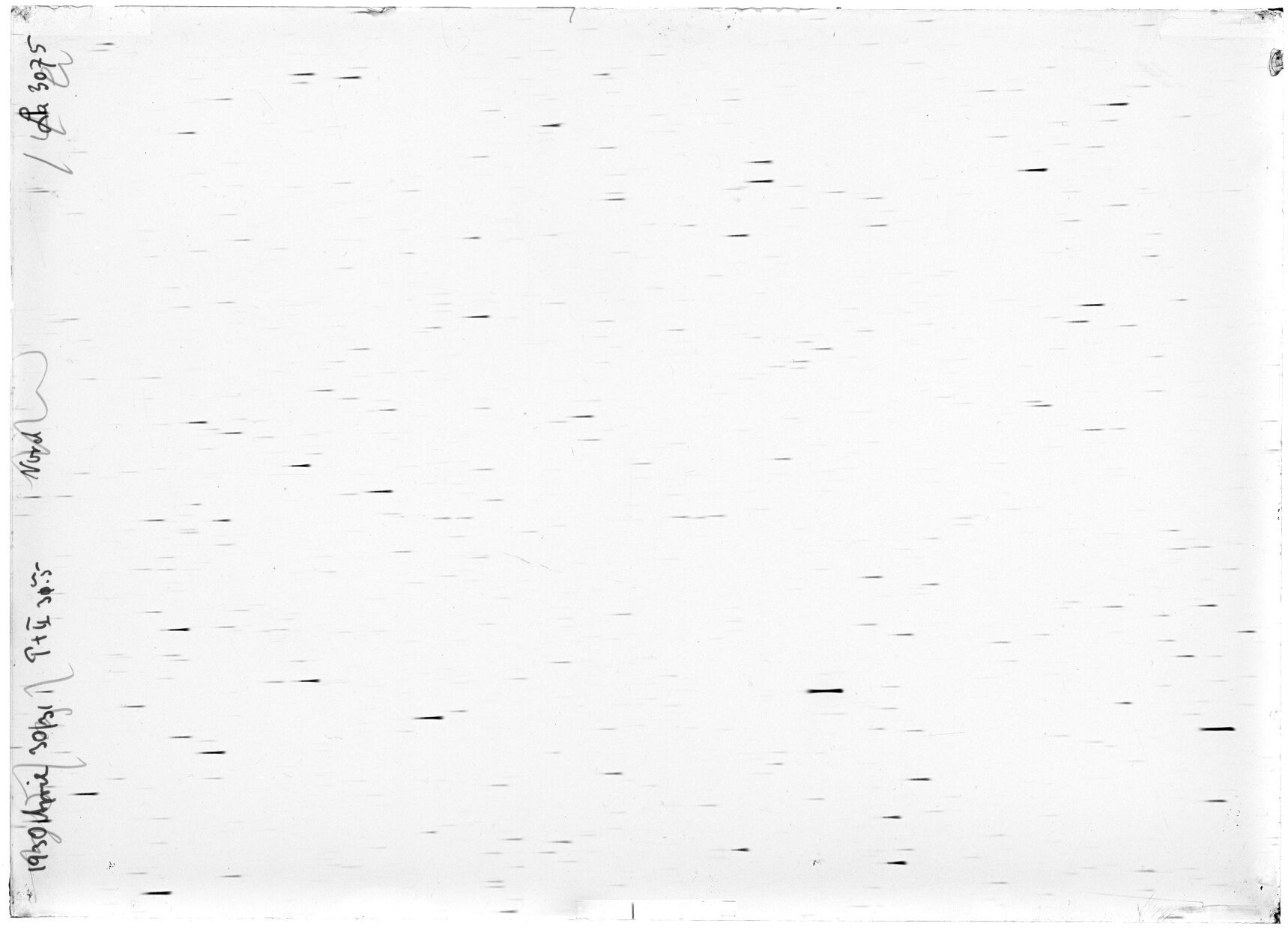 Scan LA03075