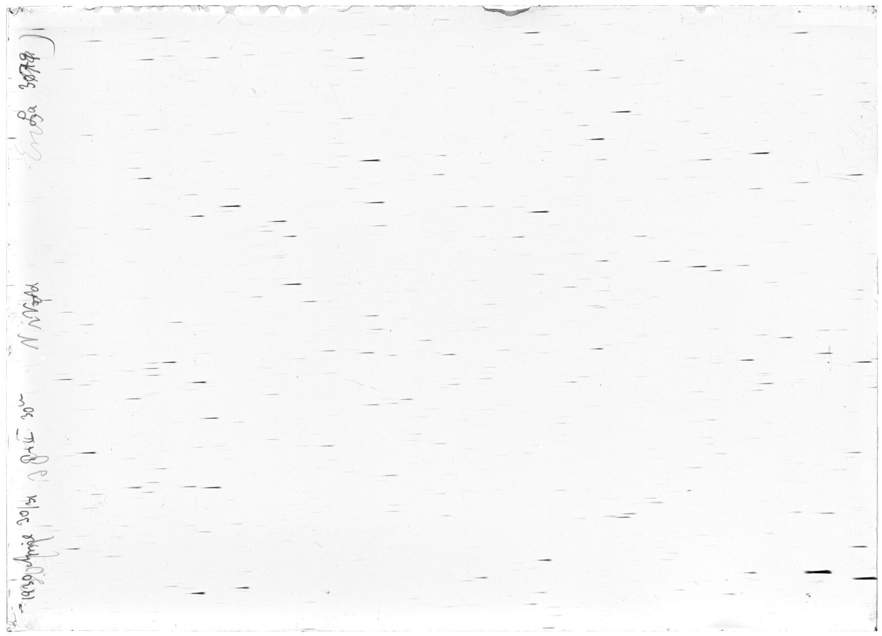 Scan LA03079
