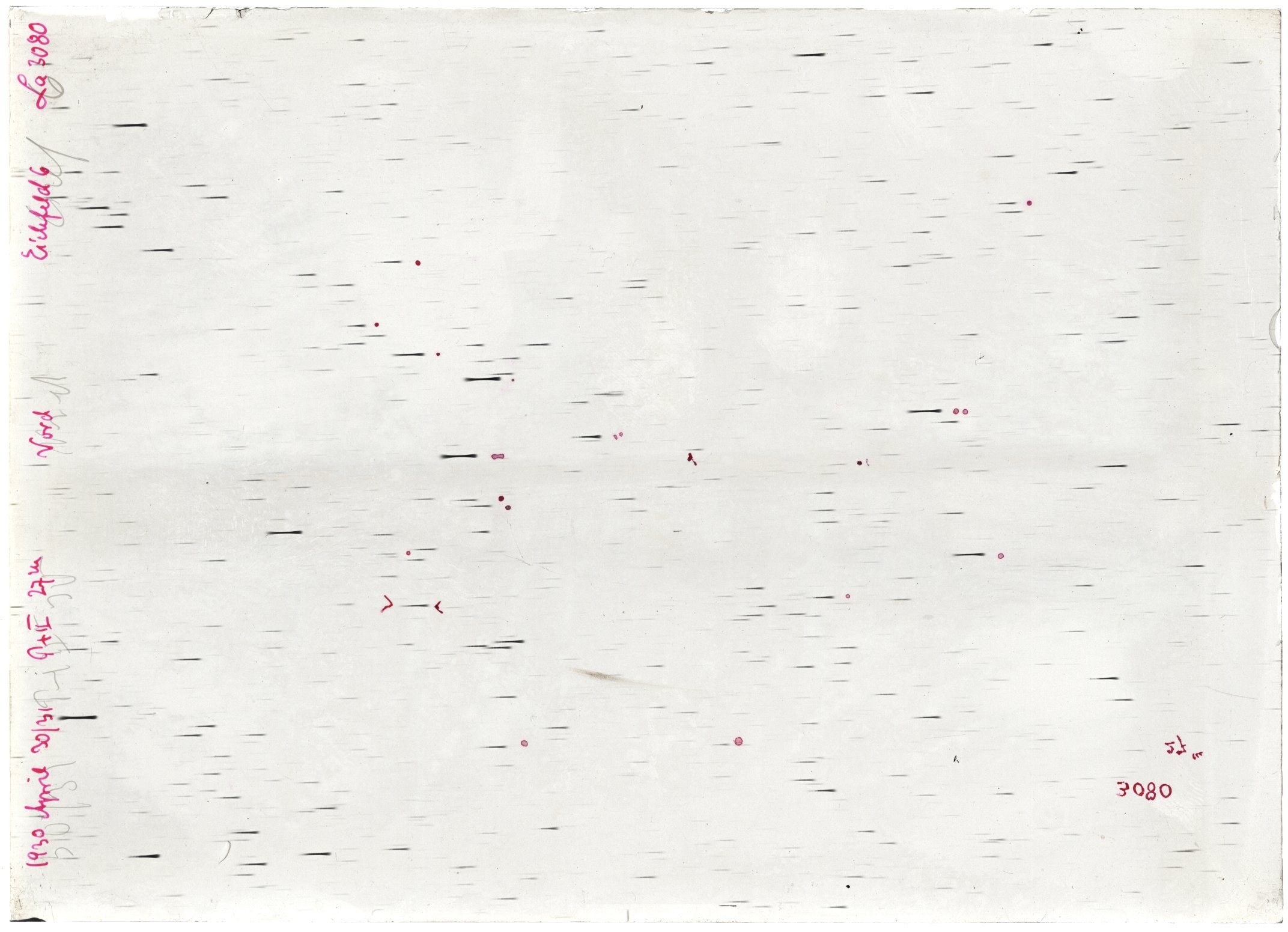 Scan LA03080