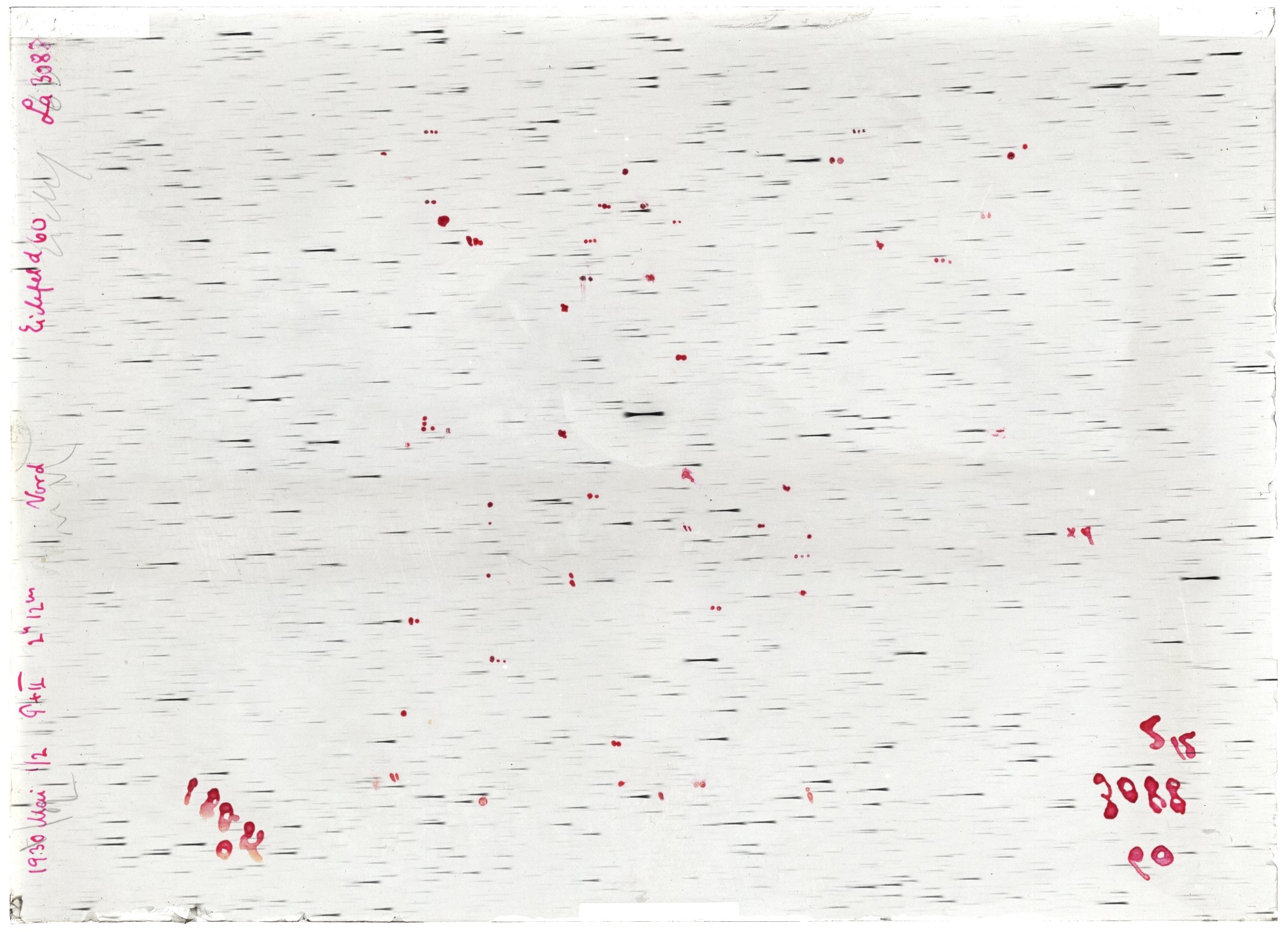 Scan LA03088