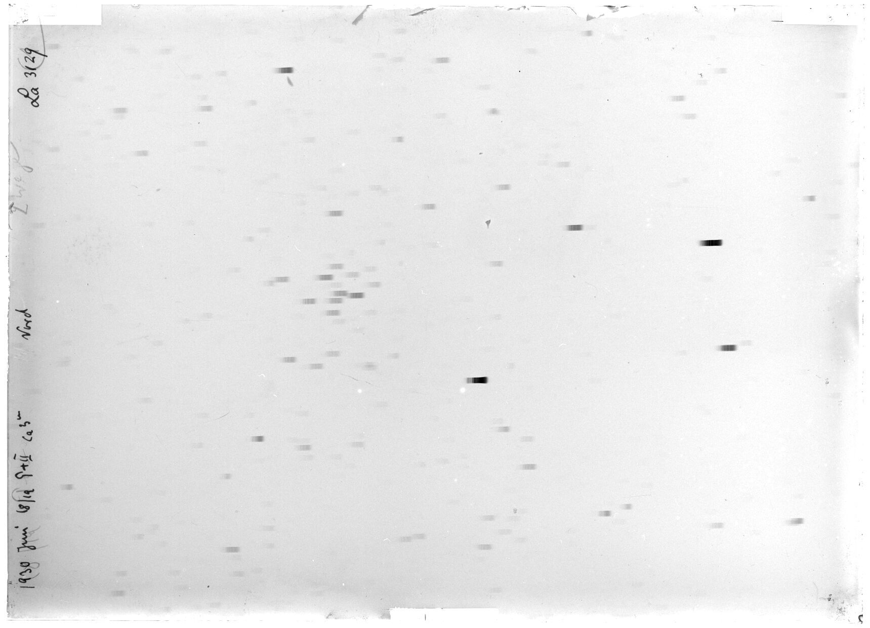 Scan LA03129