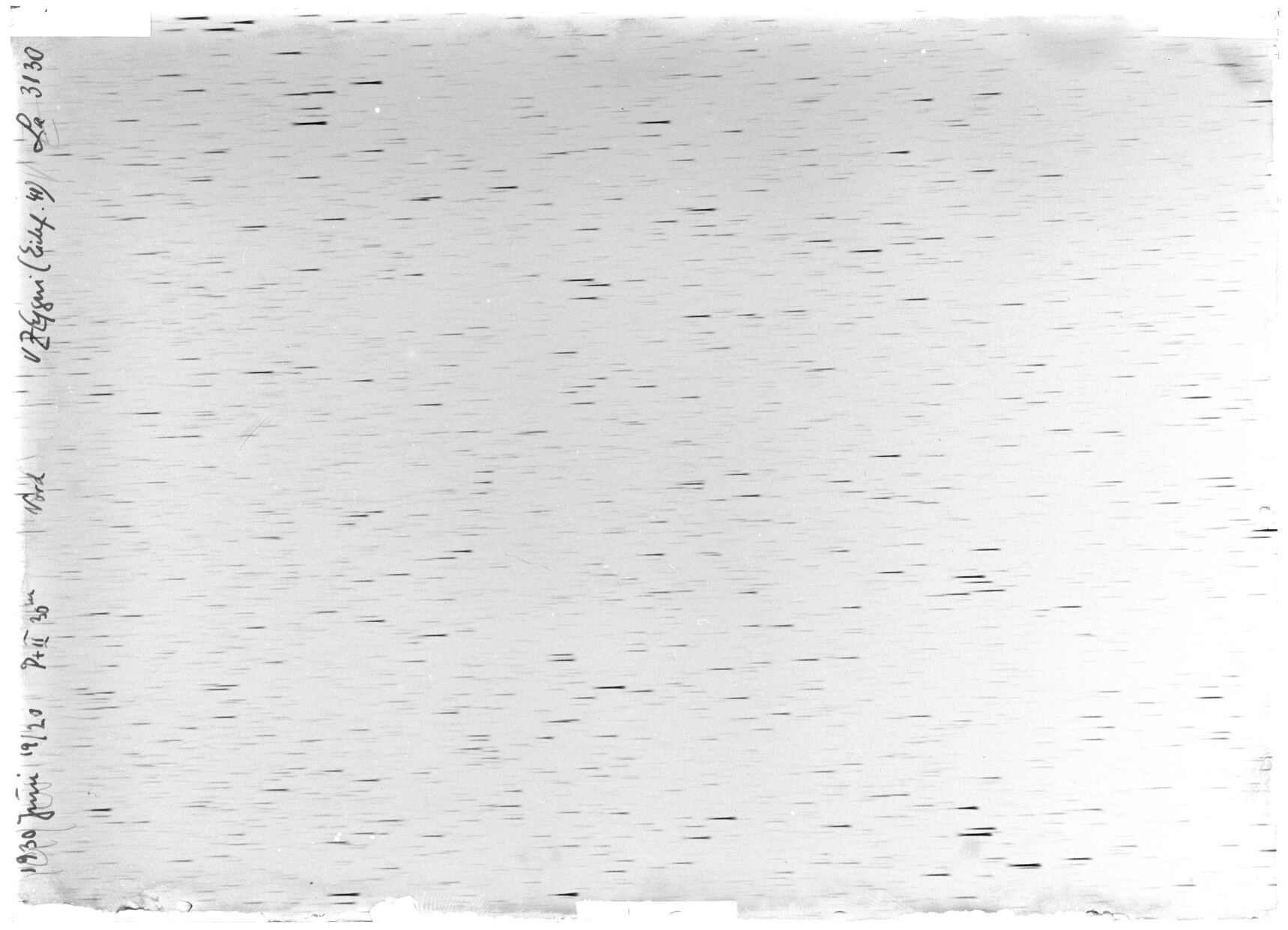 Scan LA03130