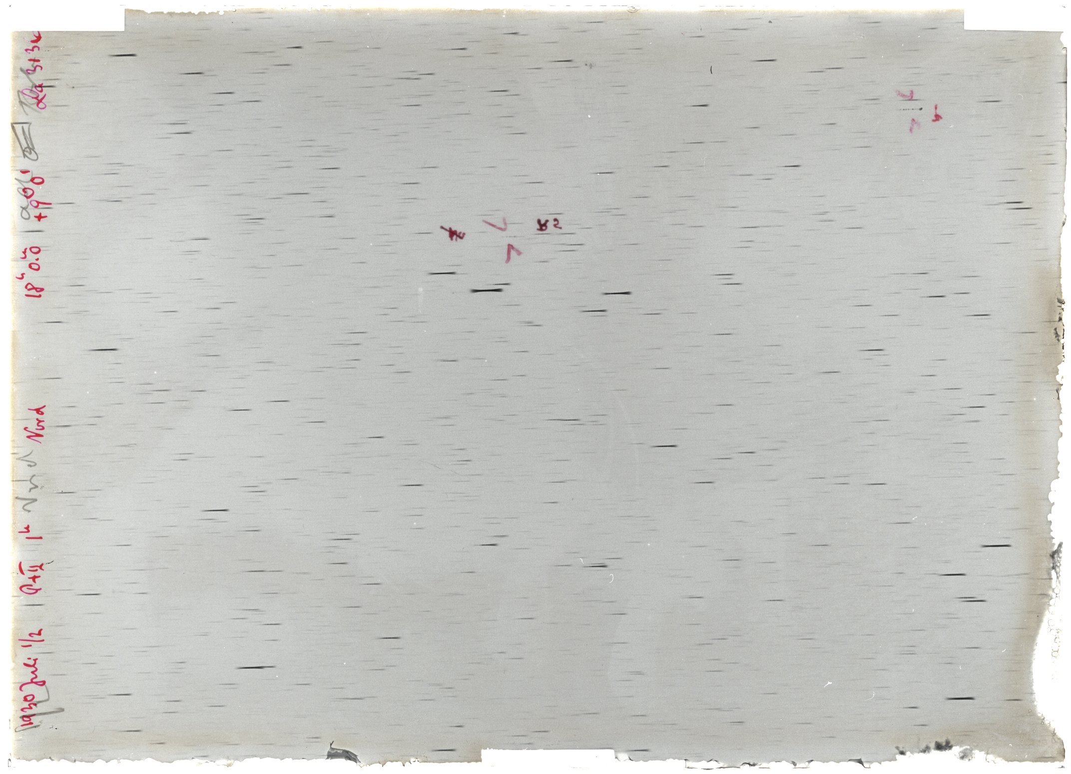 Scan LA03136