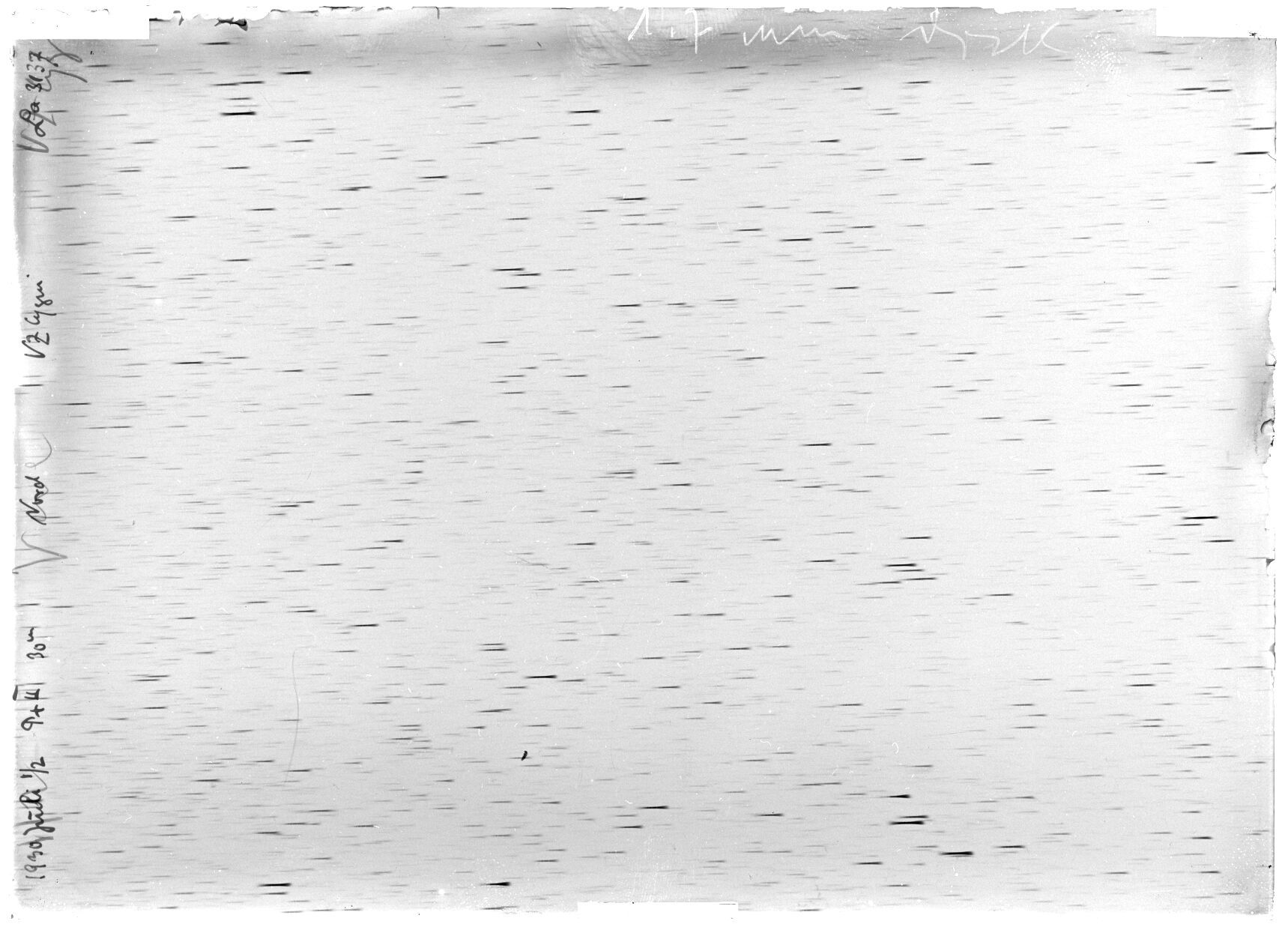 Scan LA03137