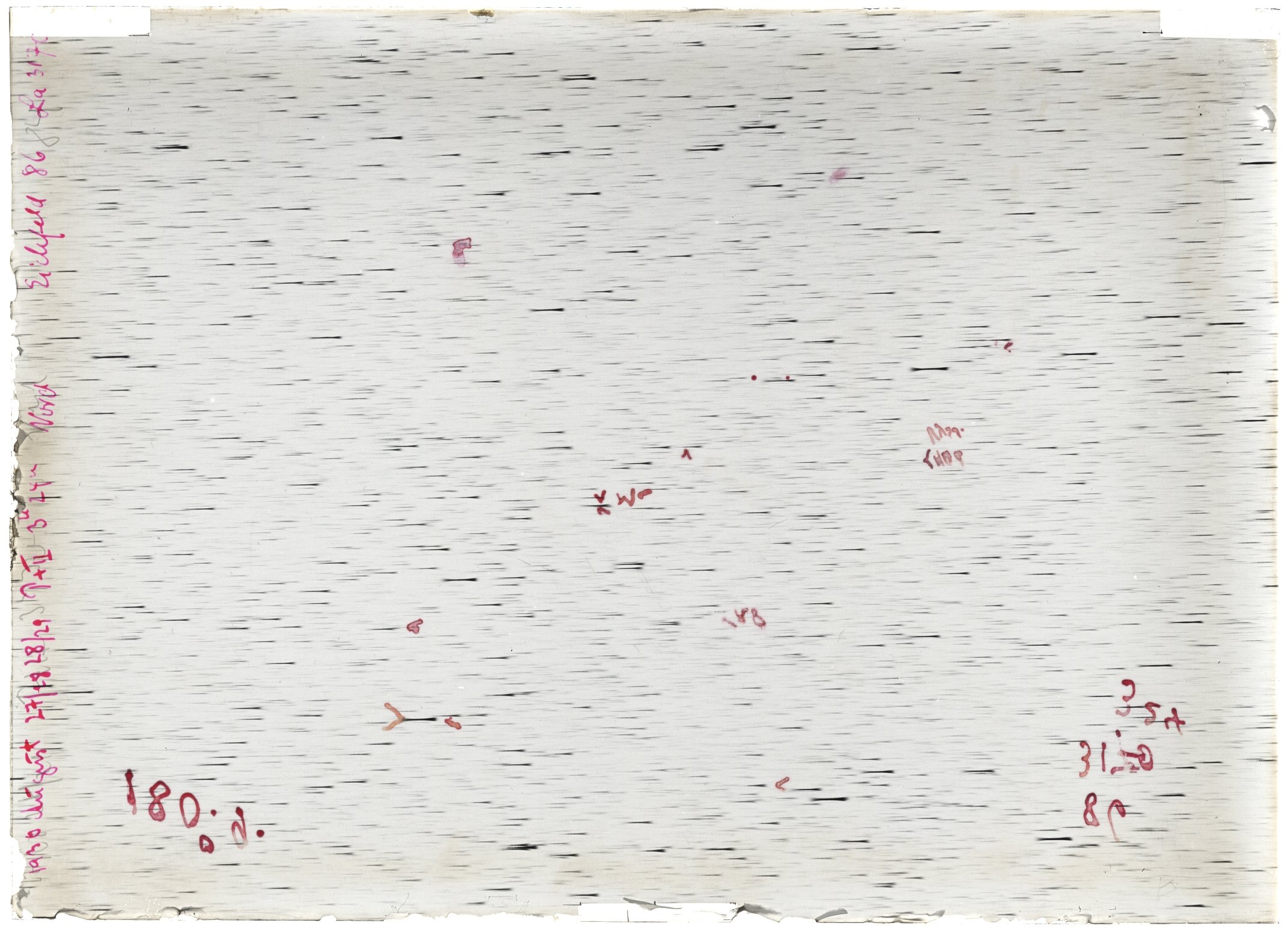 Scan LA03170