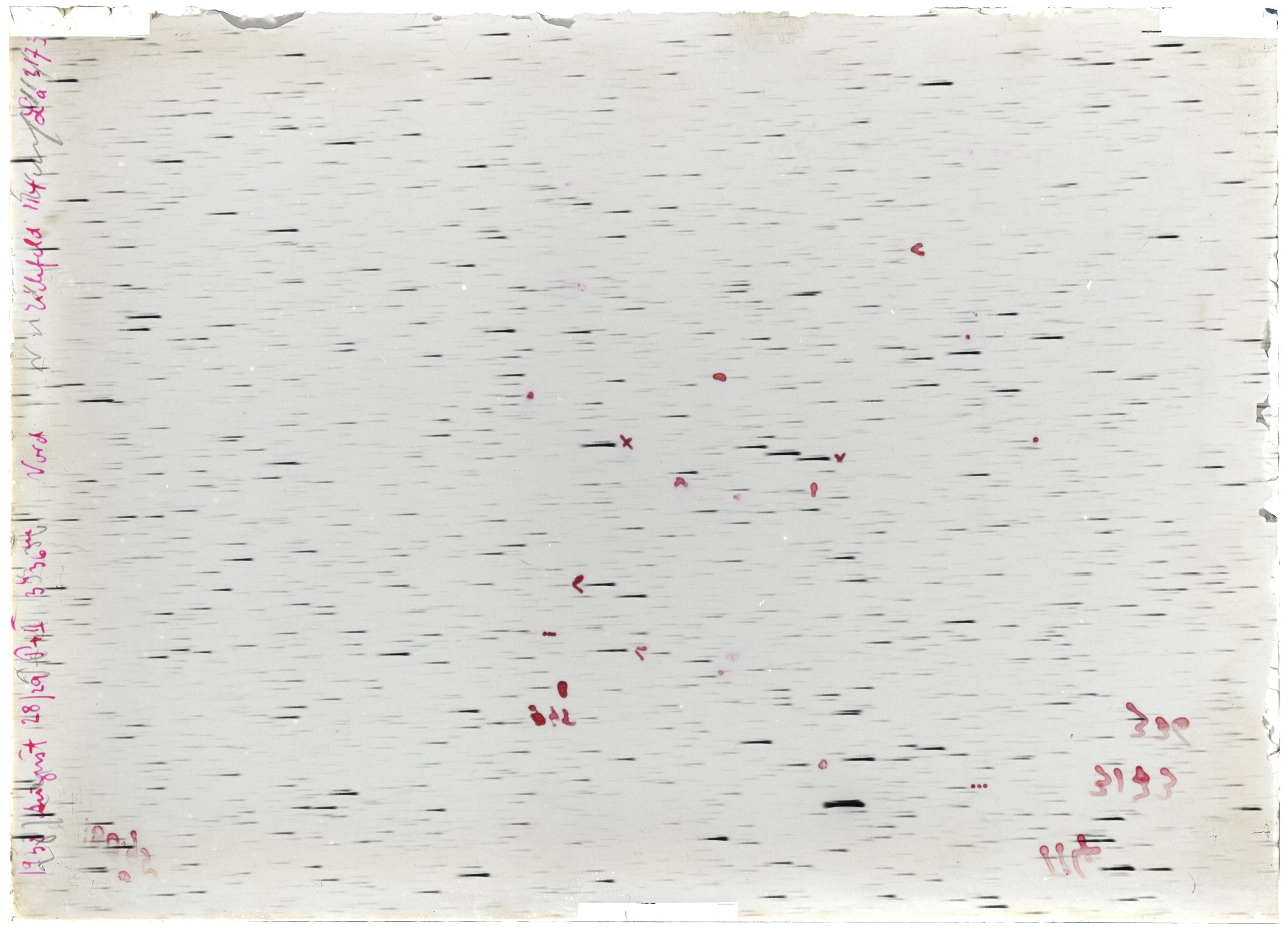 Scan LA03173