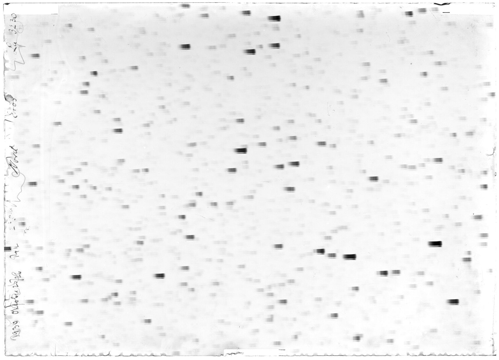 Scan LA03230