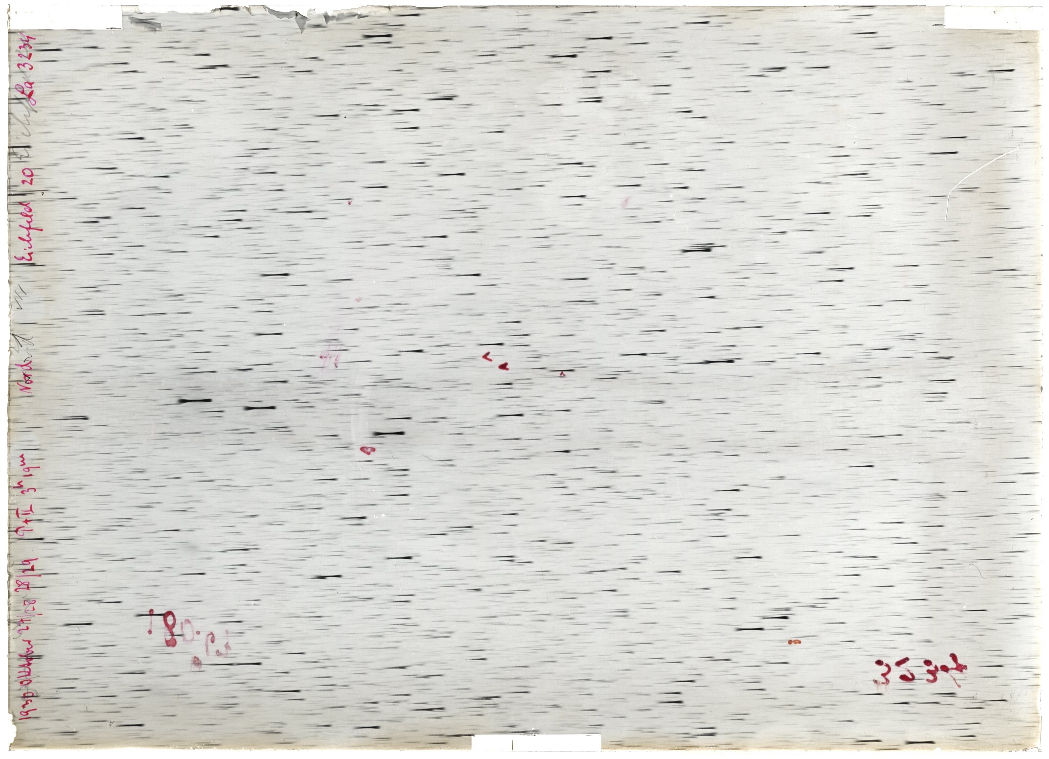 Scan LA03234