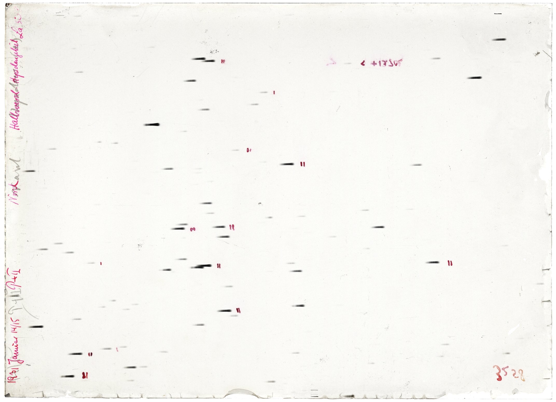 Scan LA03258
