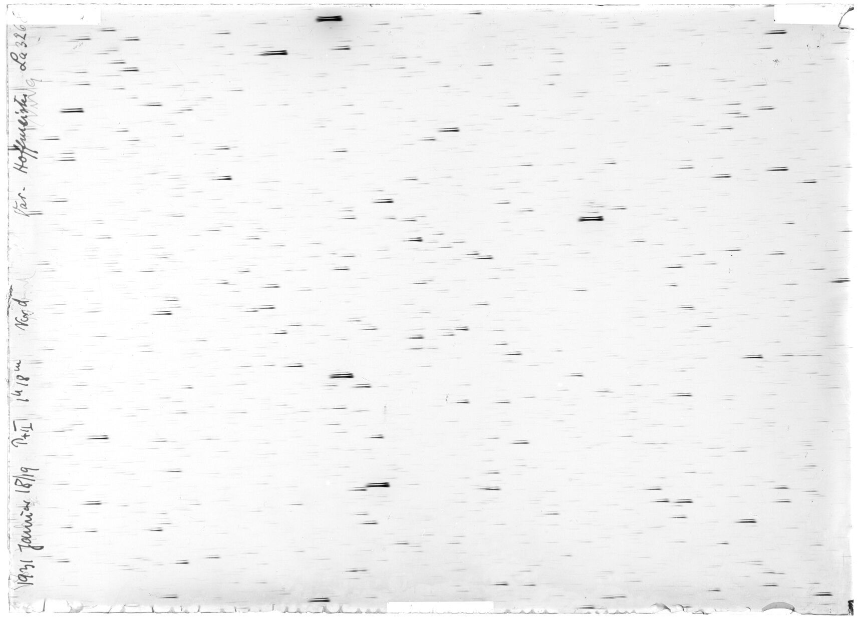 Scan LA03268