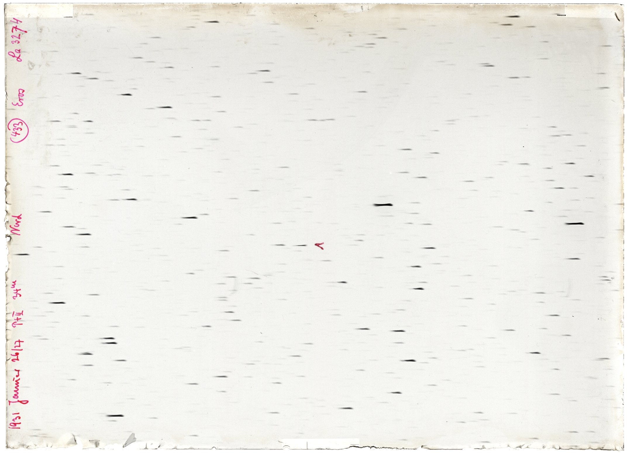 Scan LA03274