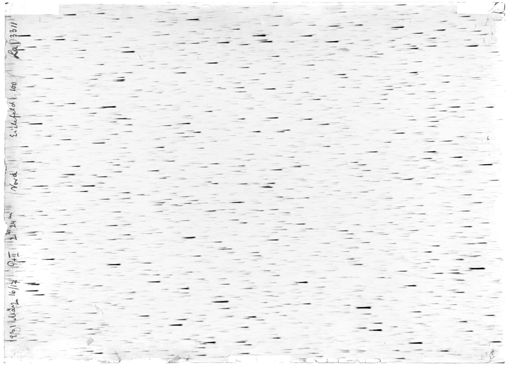 Scan LA03311